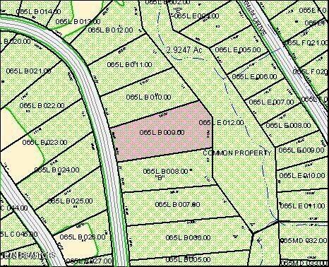 175 Pineridge Loop Property Photo 3