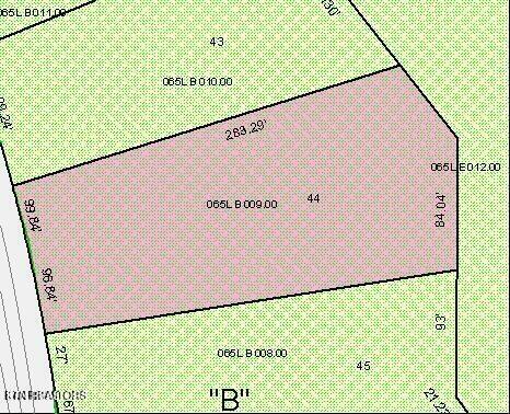 175 Pineridge Loop Property Photo 4