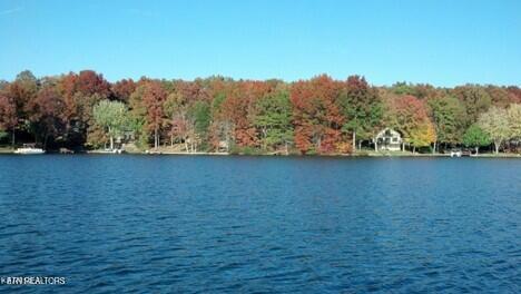 175 Pineridge Loop Property Photo 6