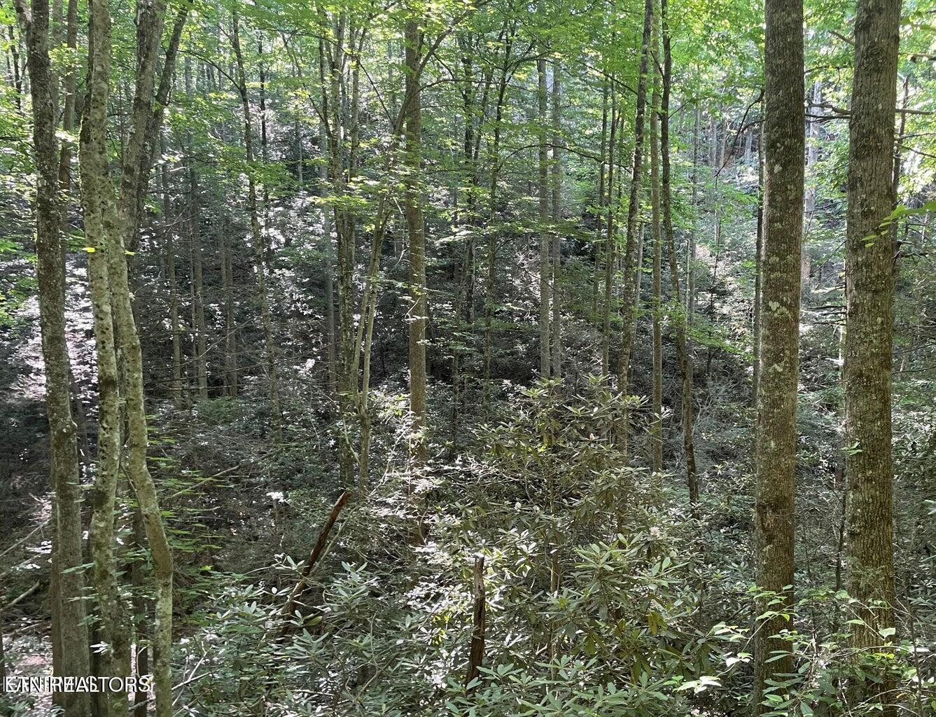 Lot 70 Hazelnut Lane Property Photo 1