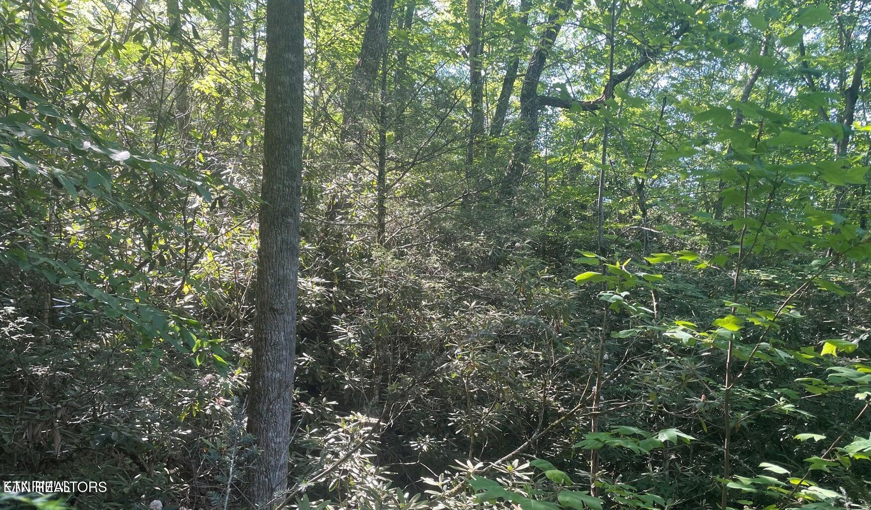 Lot 70 Hazelnut Lane Property Photo 2