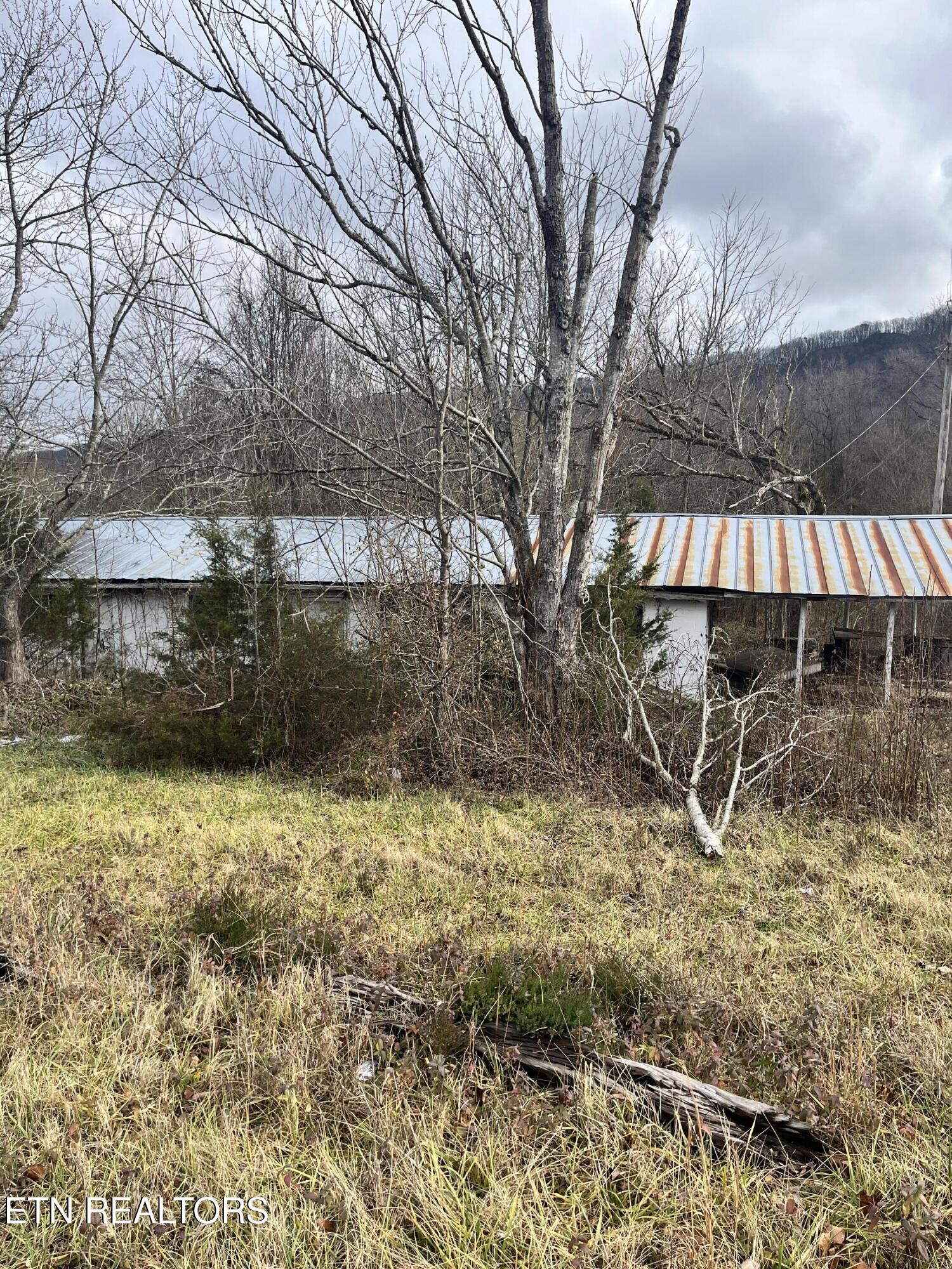 7875 Highway 131 Property Photo 3