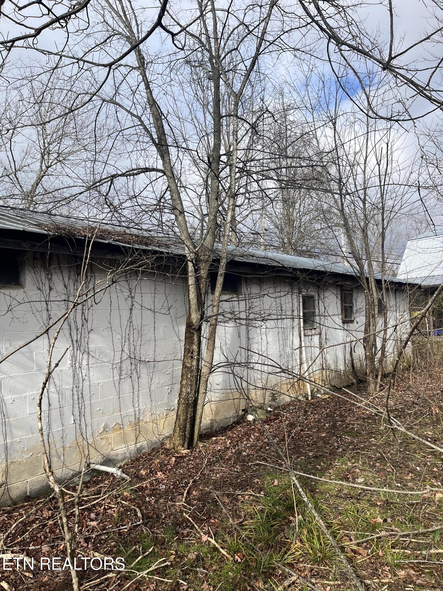 7875 Highway 131 Property Photo 5