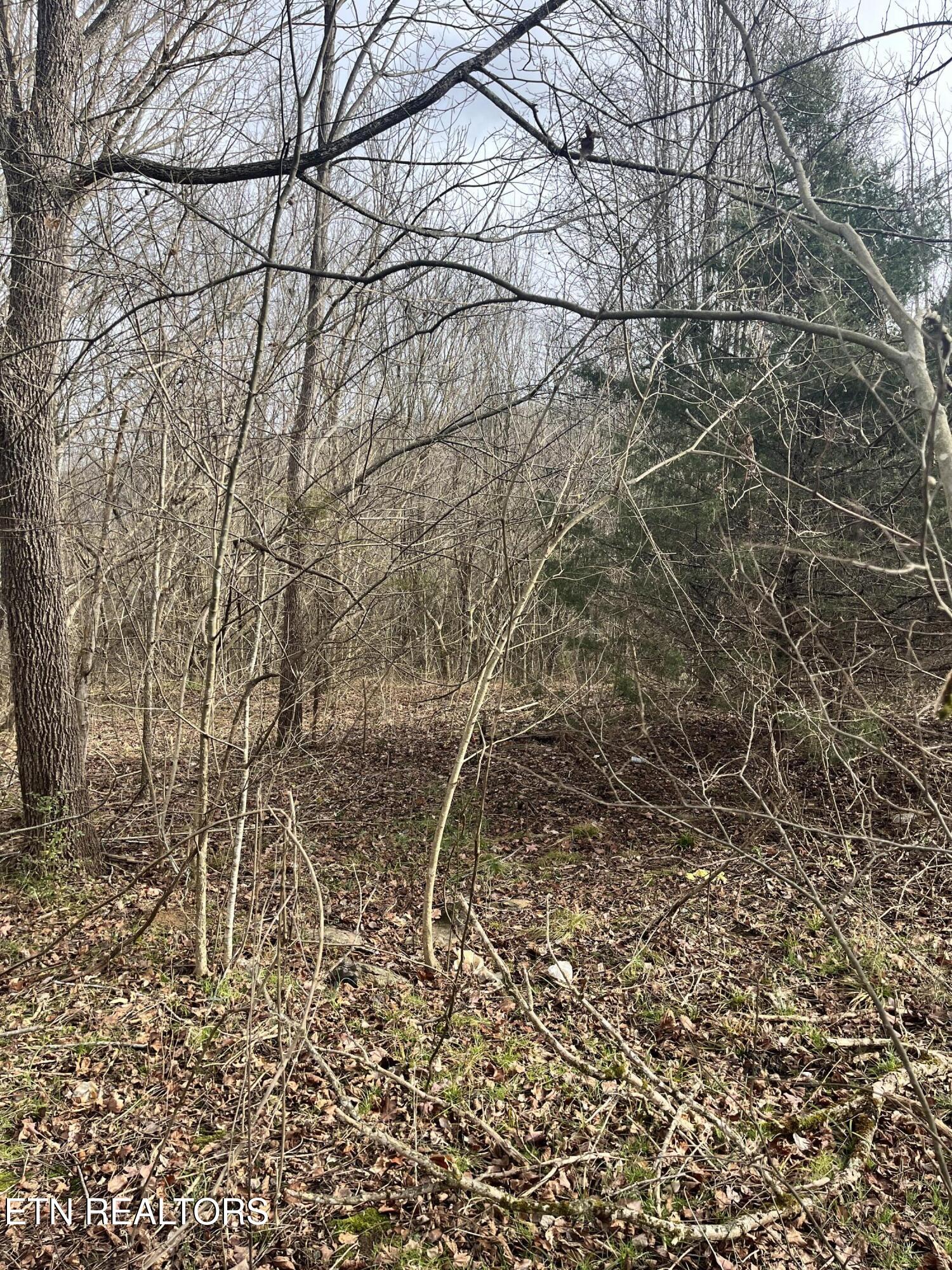 7875 Highway 131 Property Photo 6