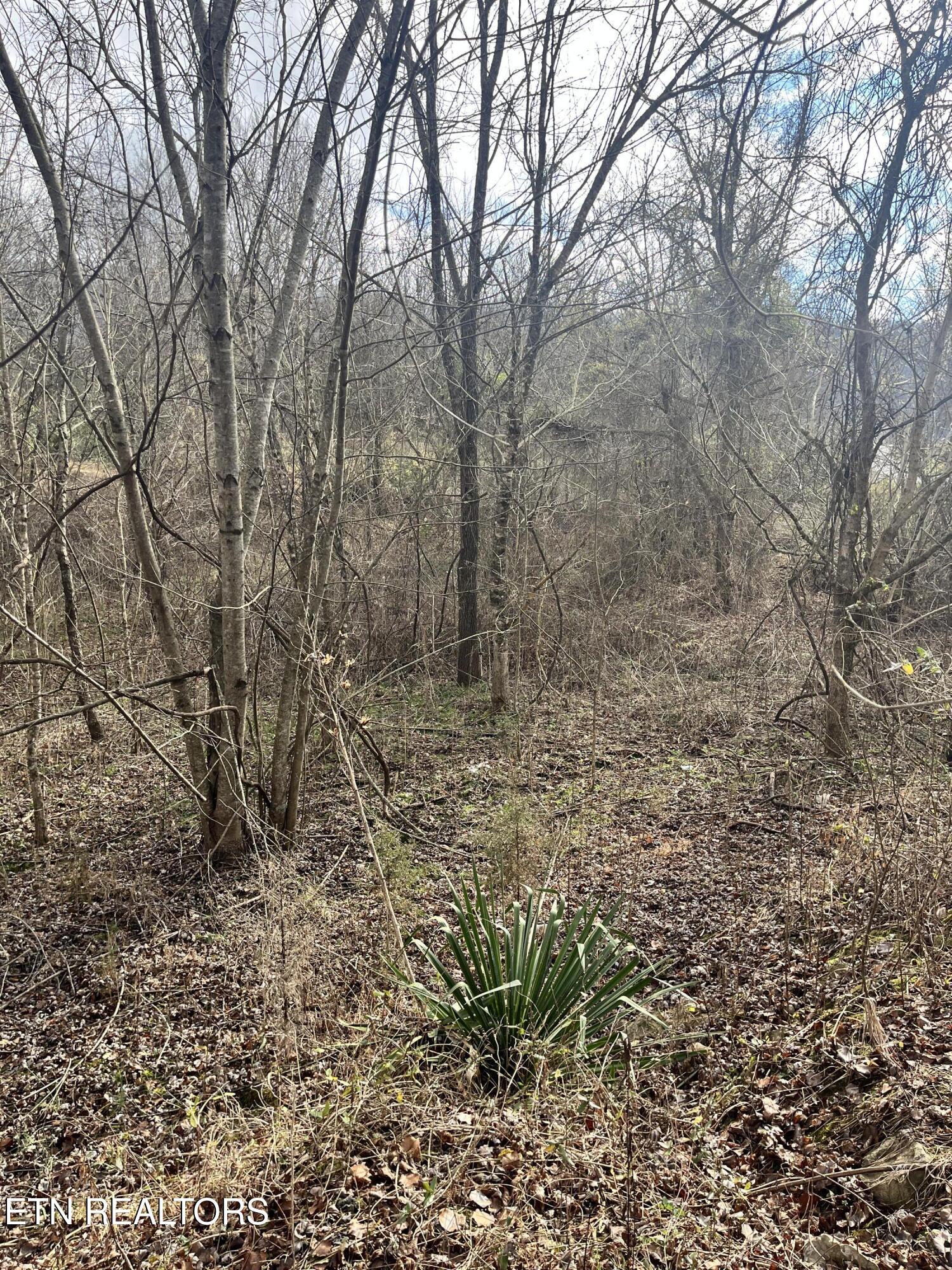 7875 Highway 131 Property Photo 7