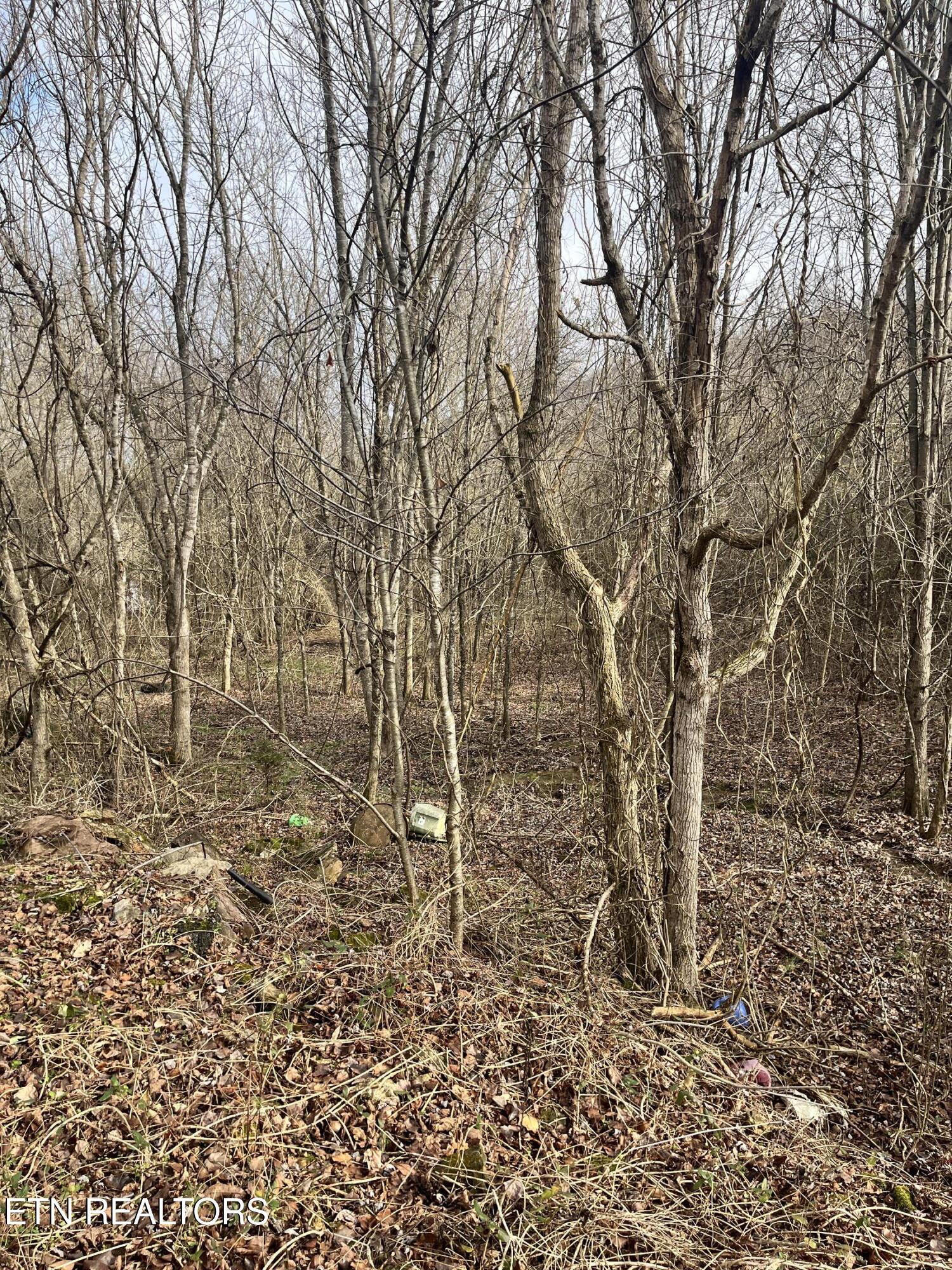 7875 Highway 131 Property Photo 8