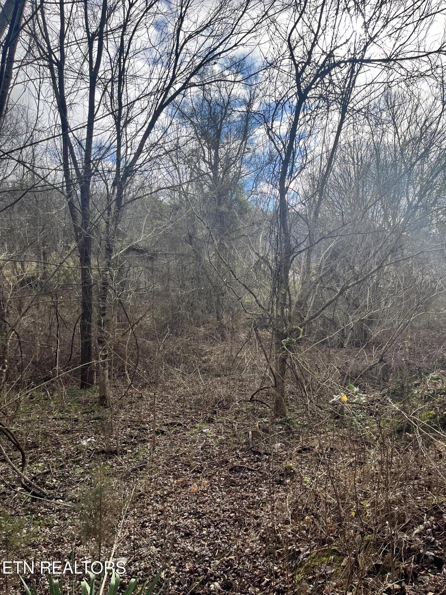 7875 Highway 131 Property Photo 9
