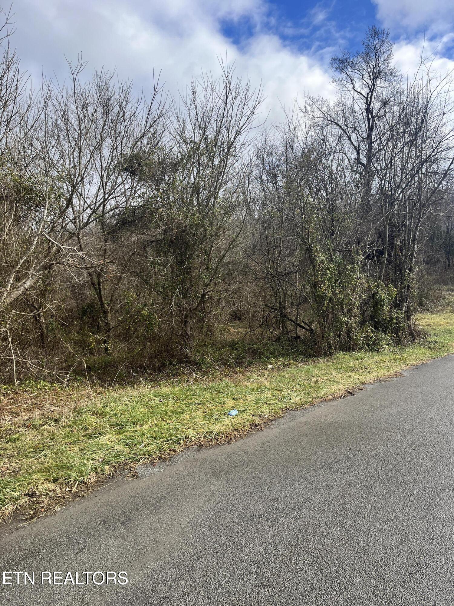 7875 Highway 131 Property Photo 10