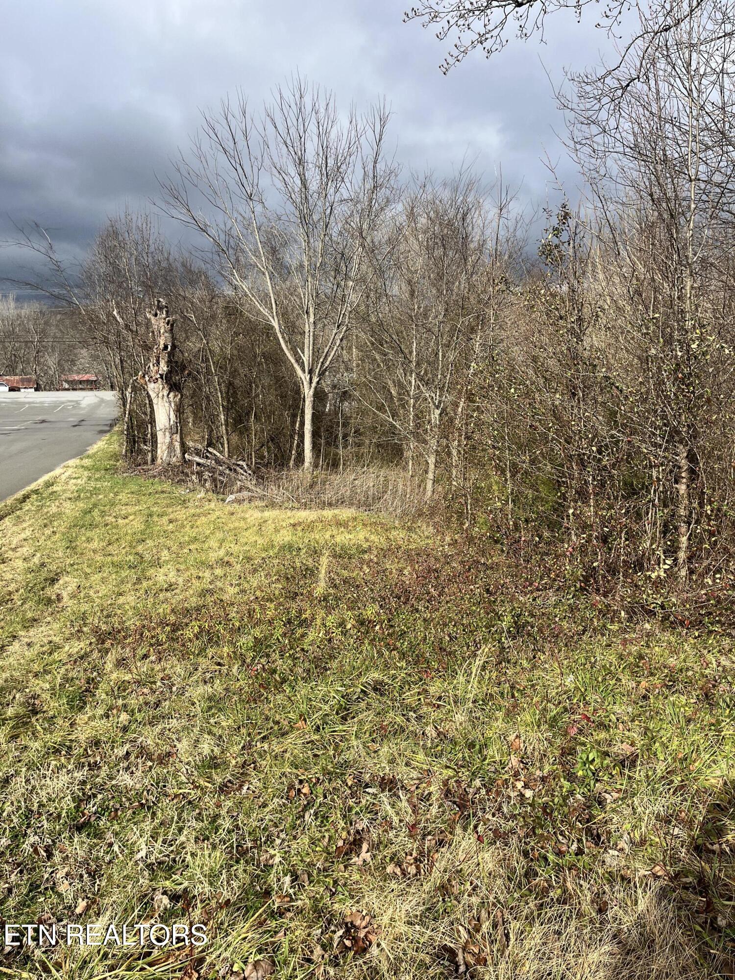 7875 Highway 131 Property Photo 12