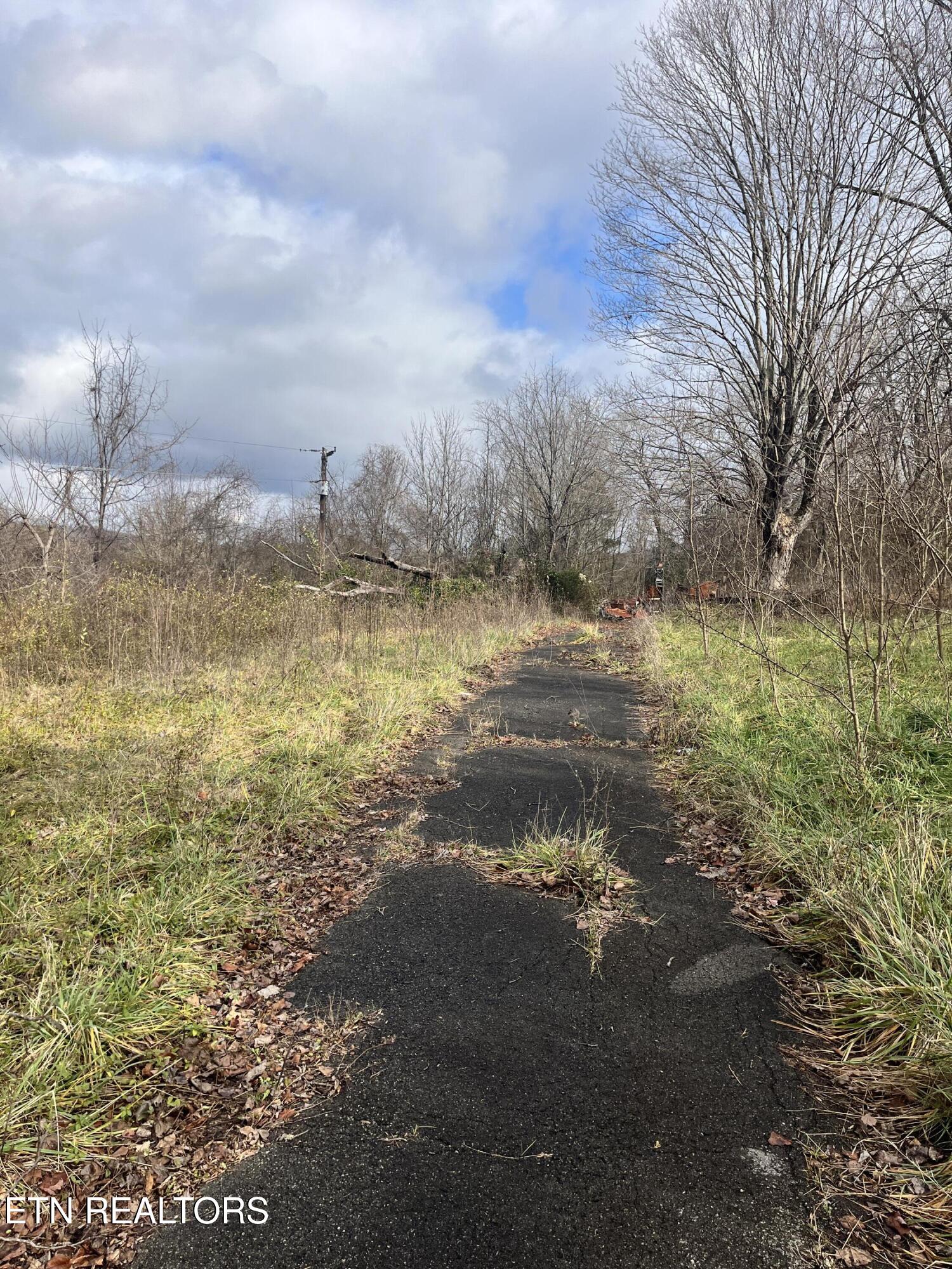 7875 Highway 131 Property Photo 13
