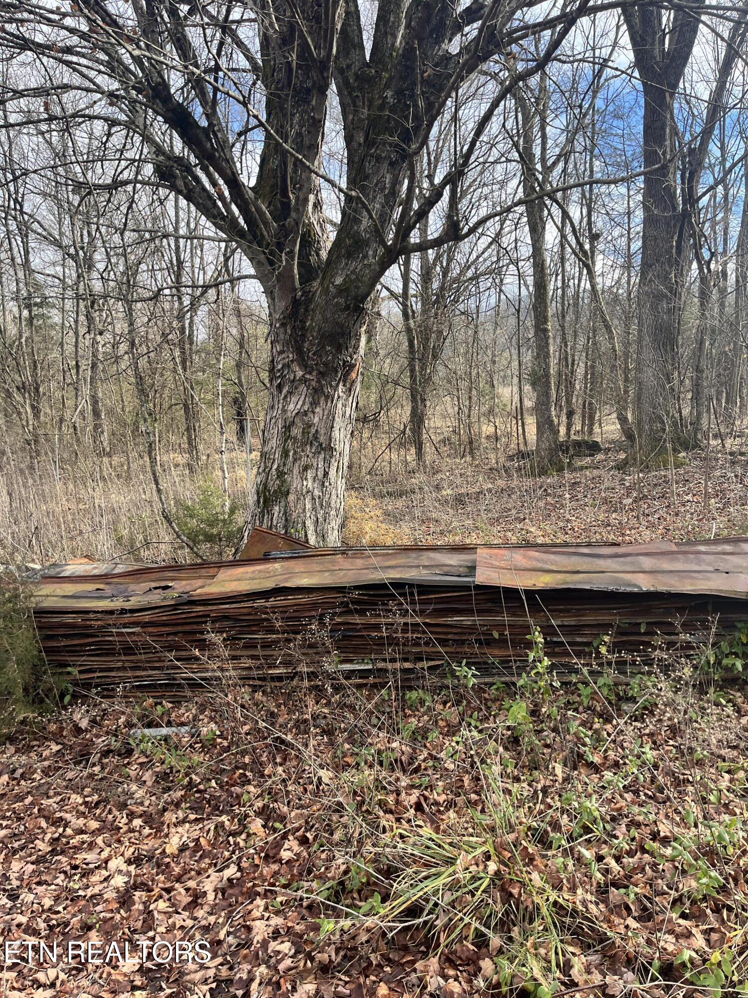7875 Highway 131 Property Photo 14