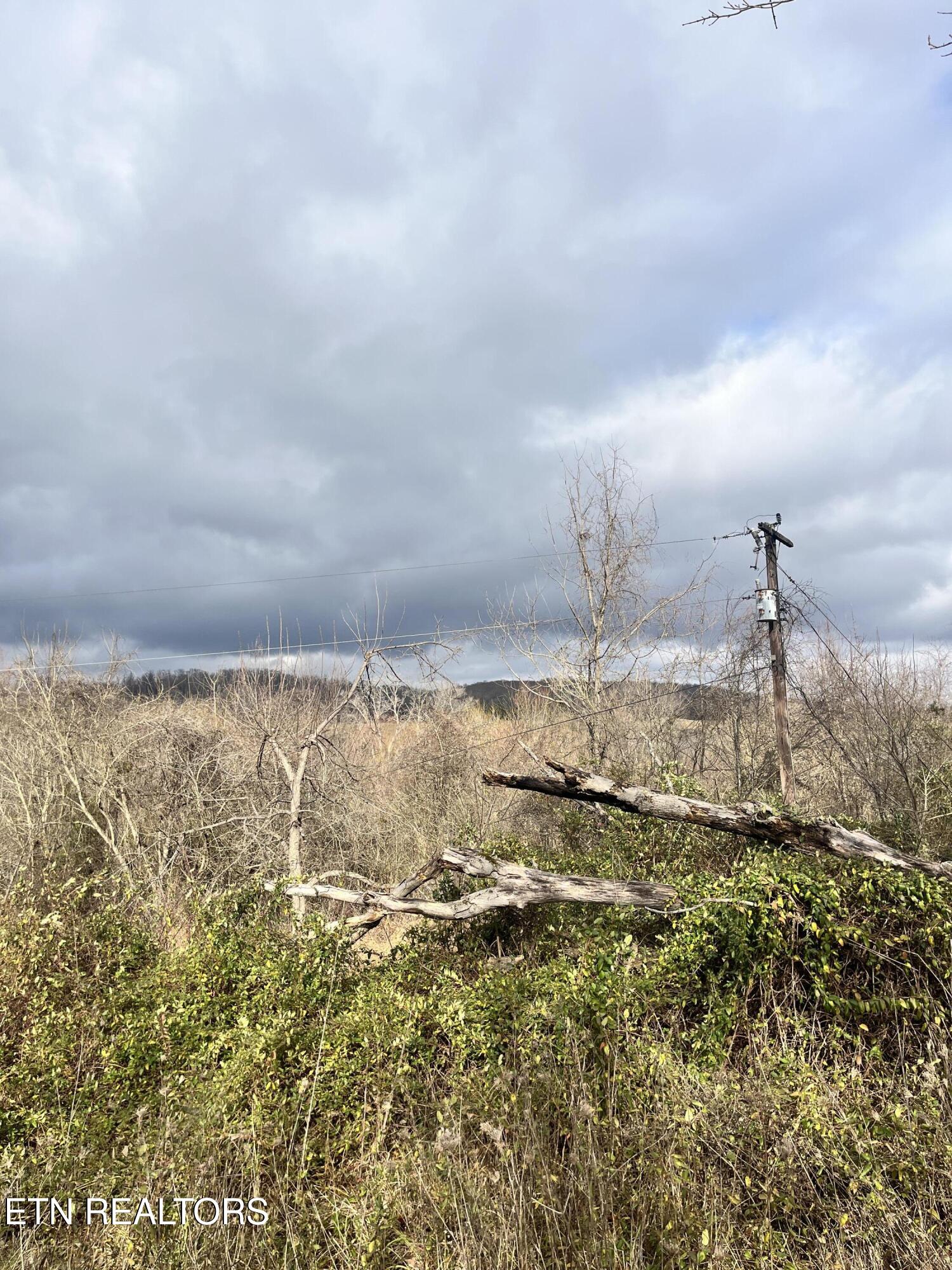 7875 Highway 131 Property Photo 16