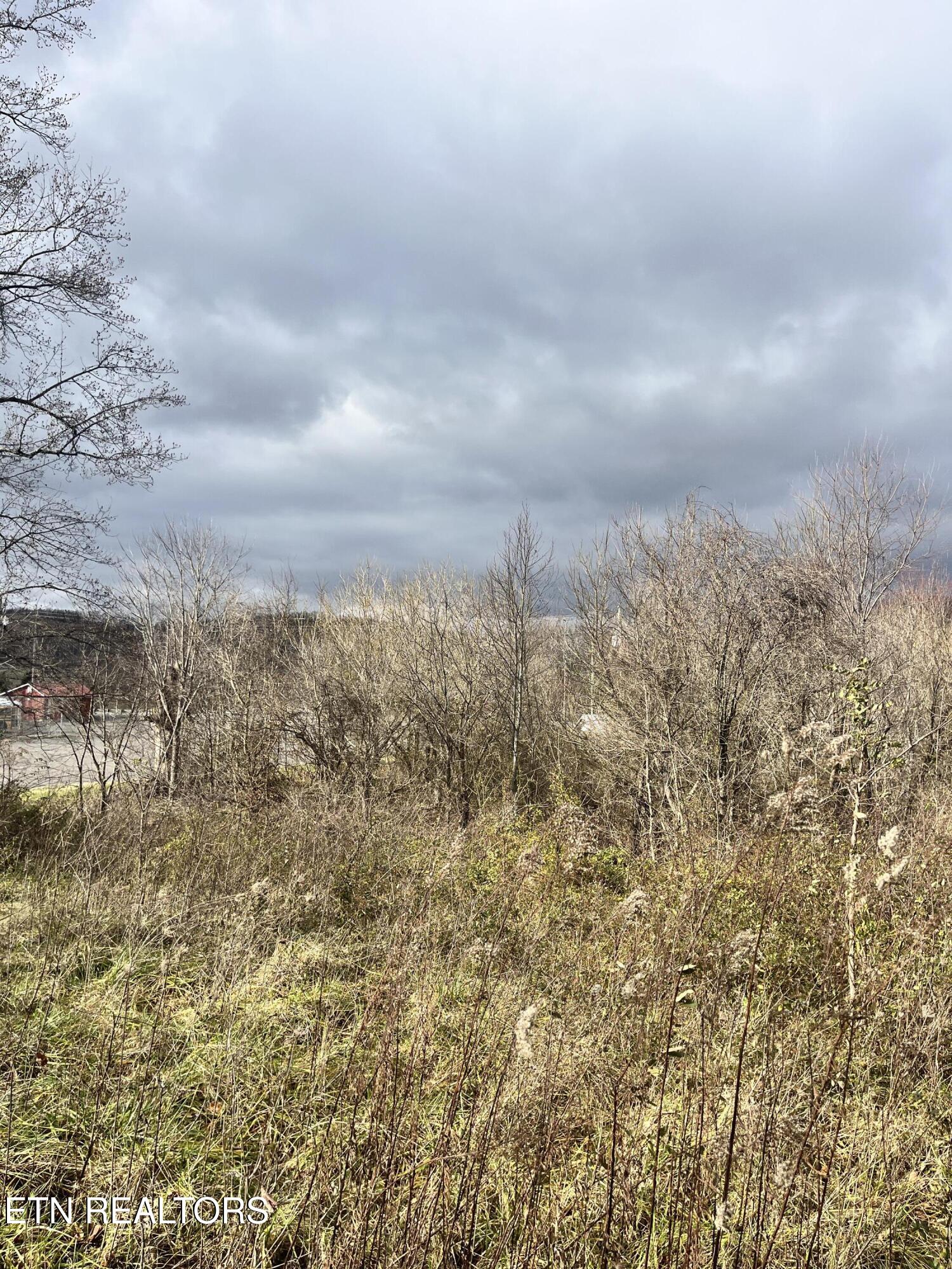 7875 Highway 131 Property Photo 17