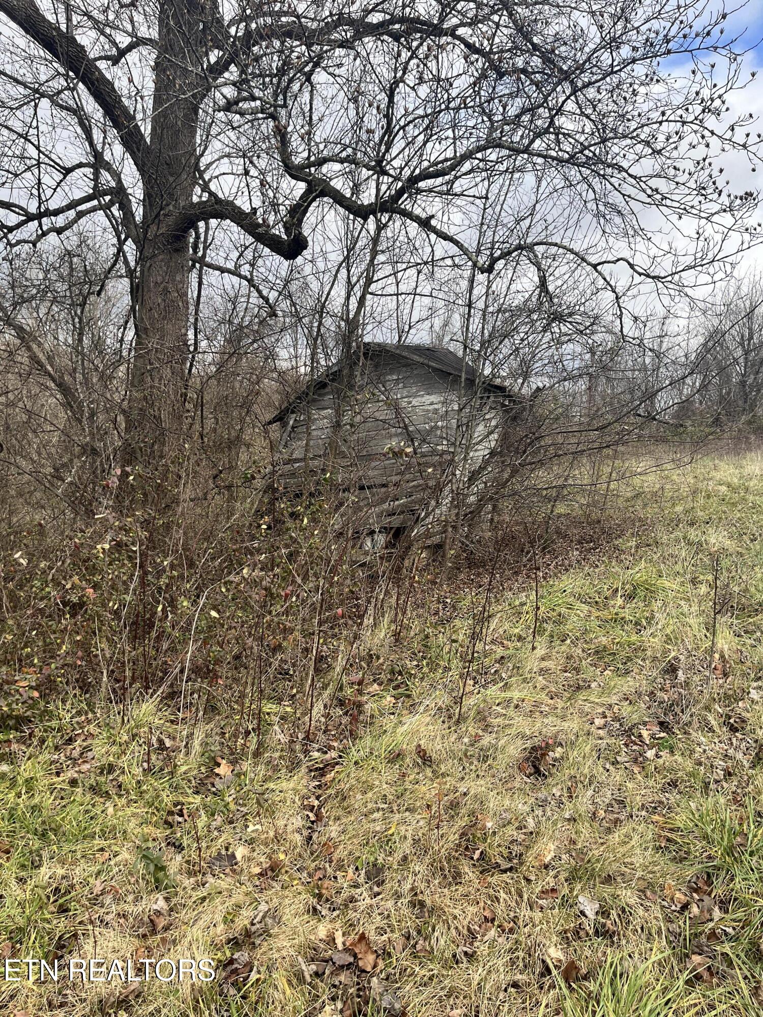 7875 Highway 131 Property Photo 18