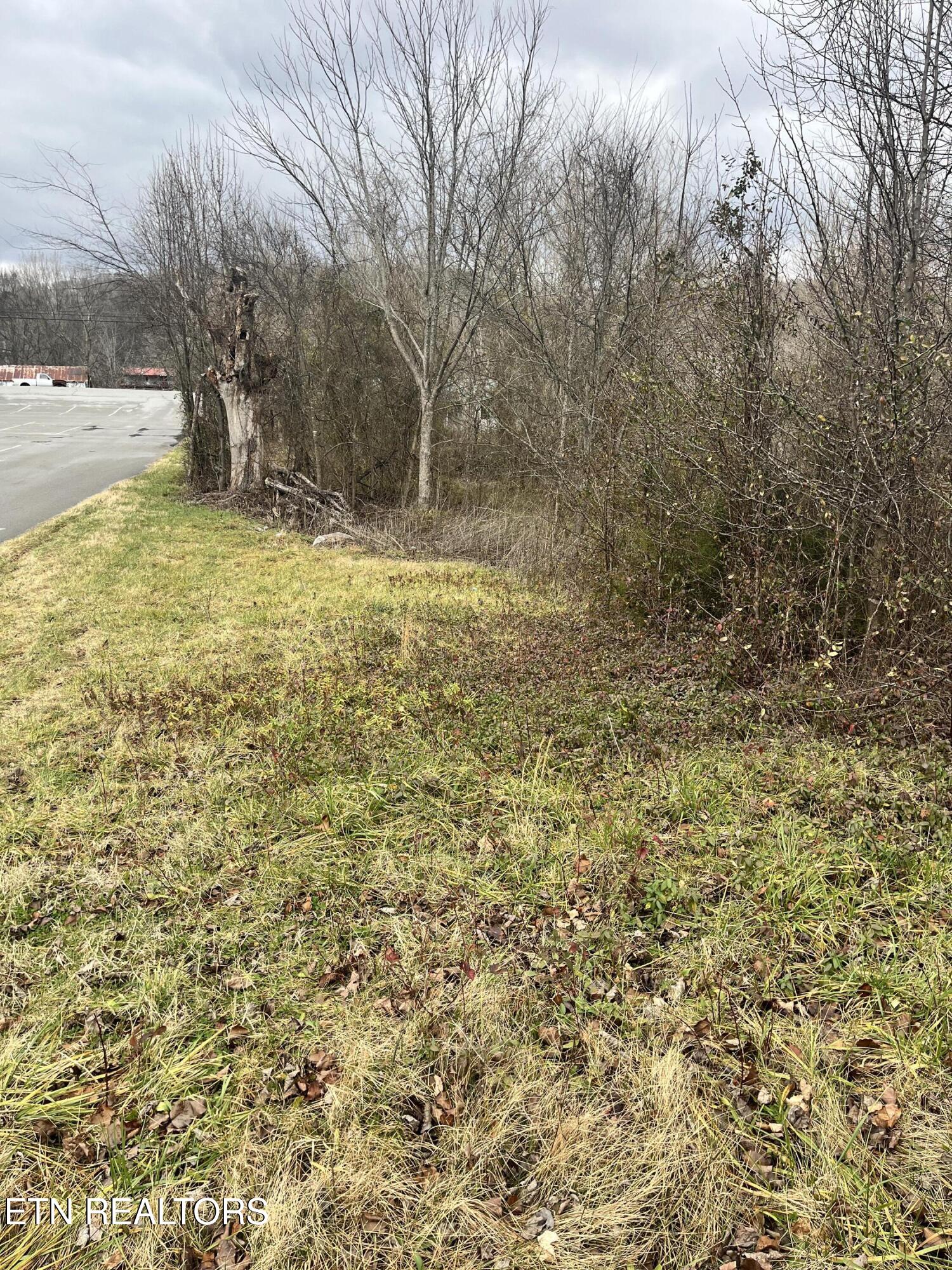 7875 Highway 131 Property Photo 19