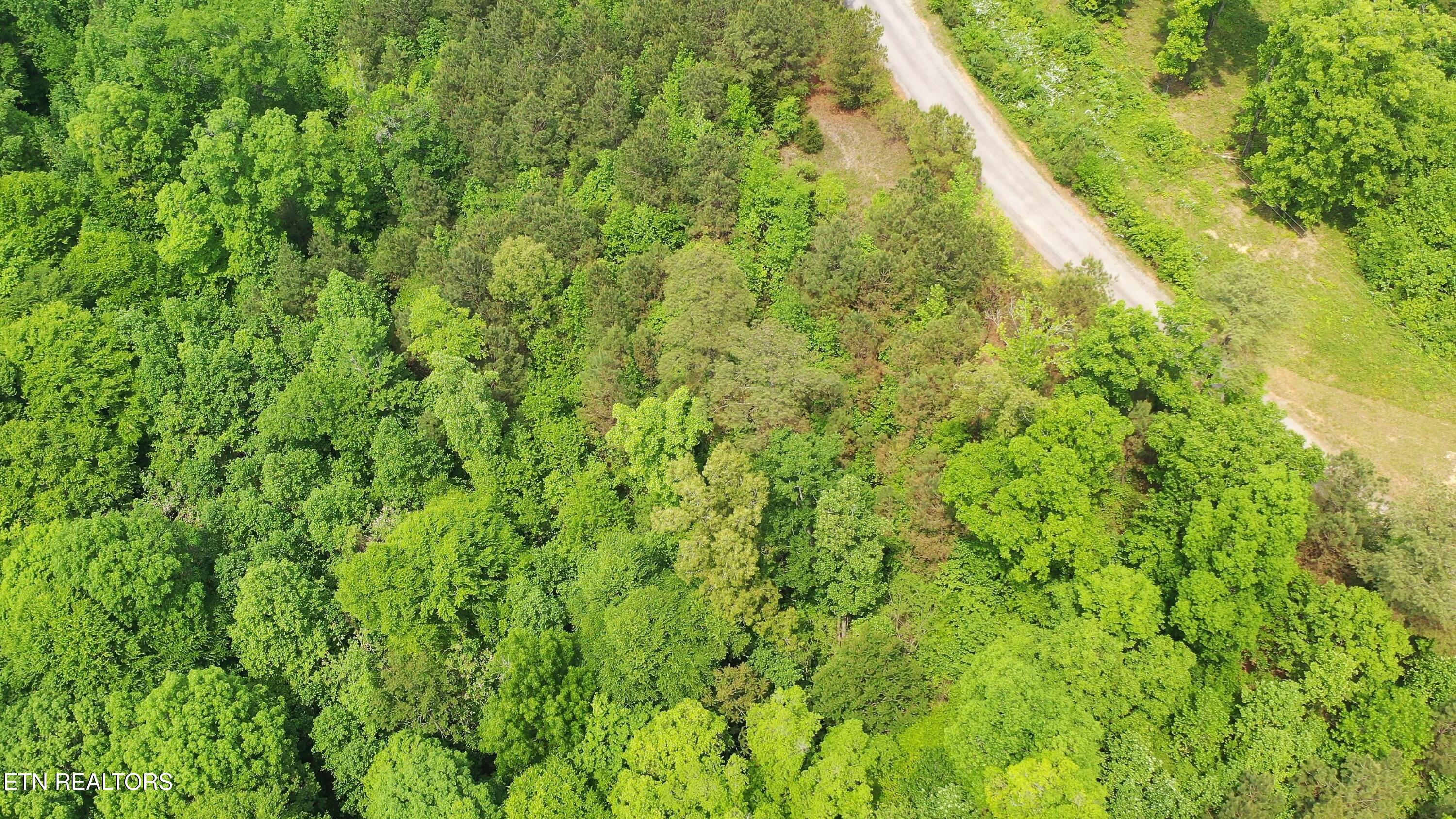 Indian Mound Rd Property Photo