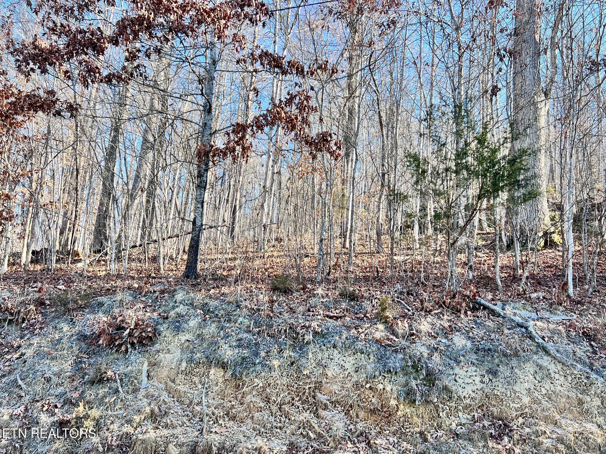 Tract 7 Bundren Mountain Rd Property Photo 1