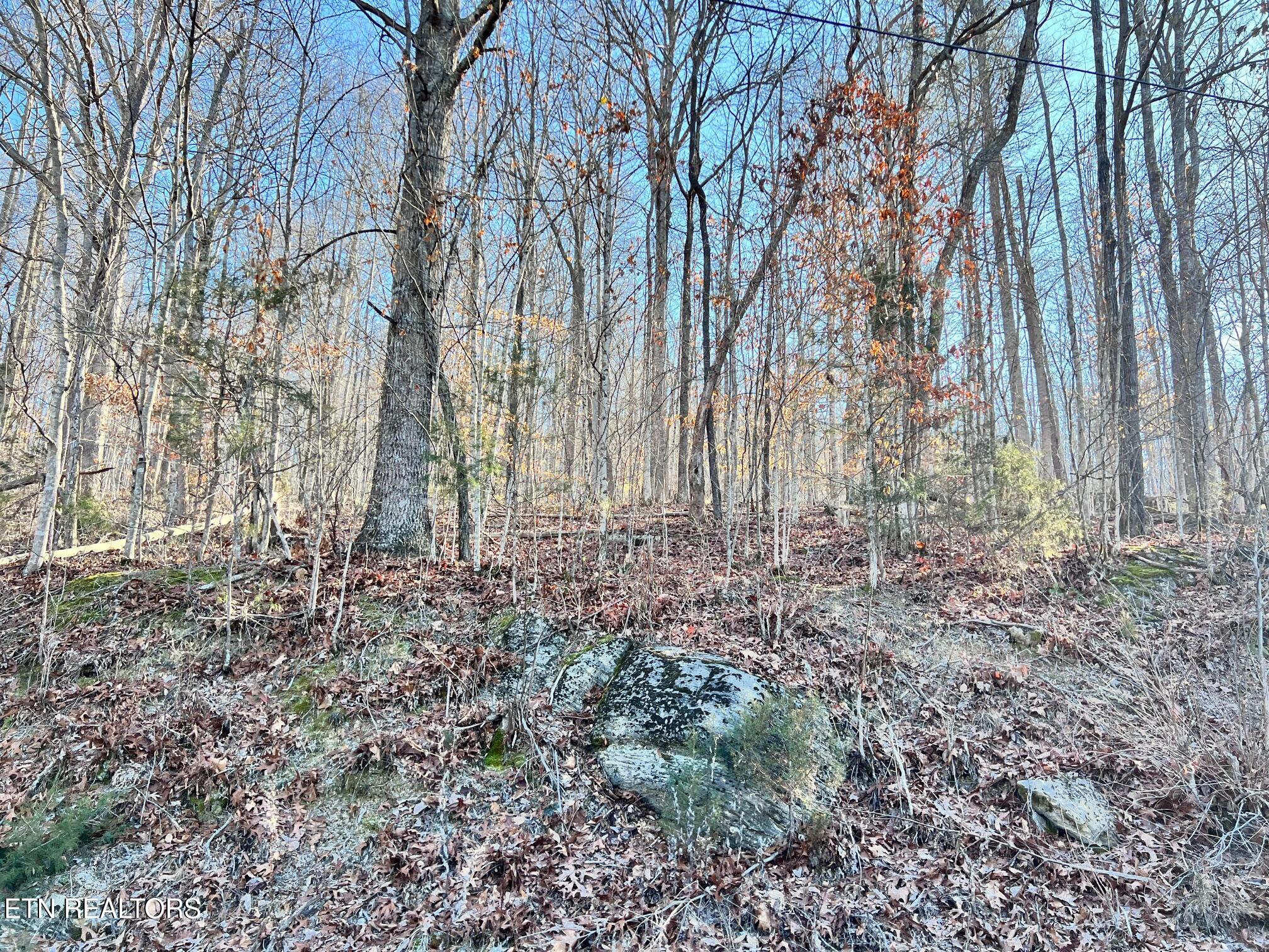Tract 7 Bundren Mountain Rd Property Photo 3