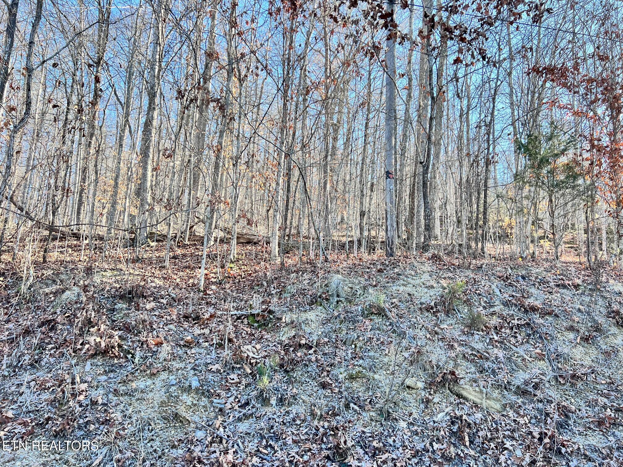 Tract 7 Bundren Mountain Rd Property Photo 4