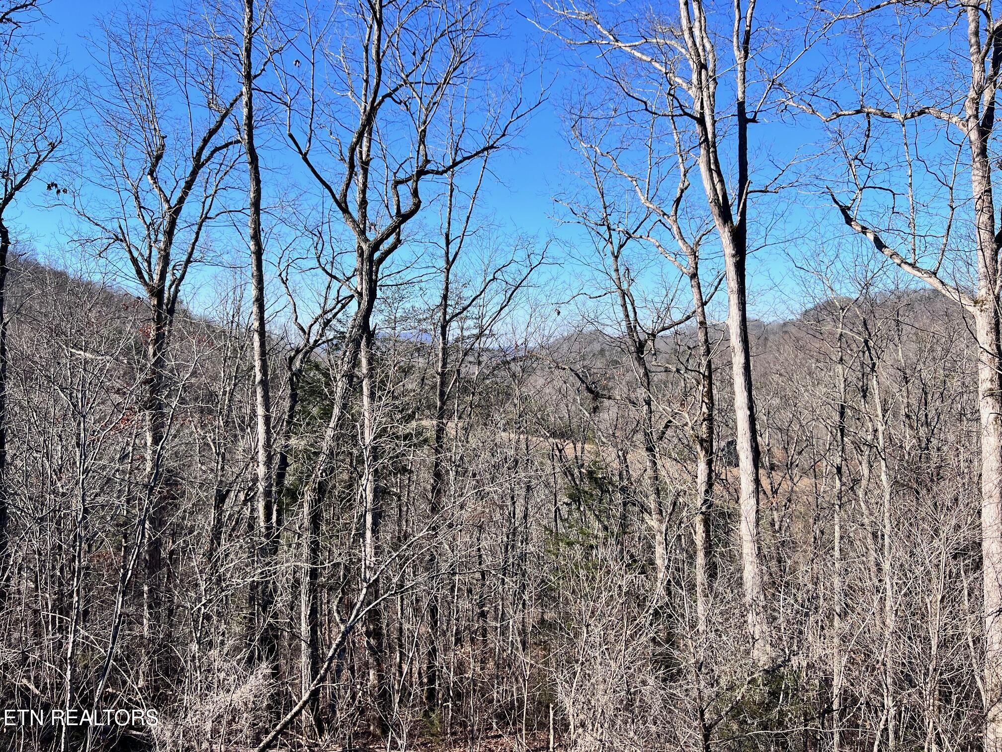 Tract 7 Bundren Mountain Rd Property Photo 5