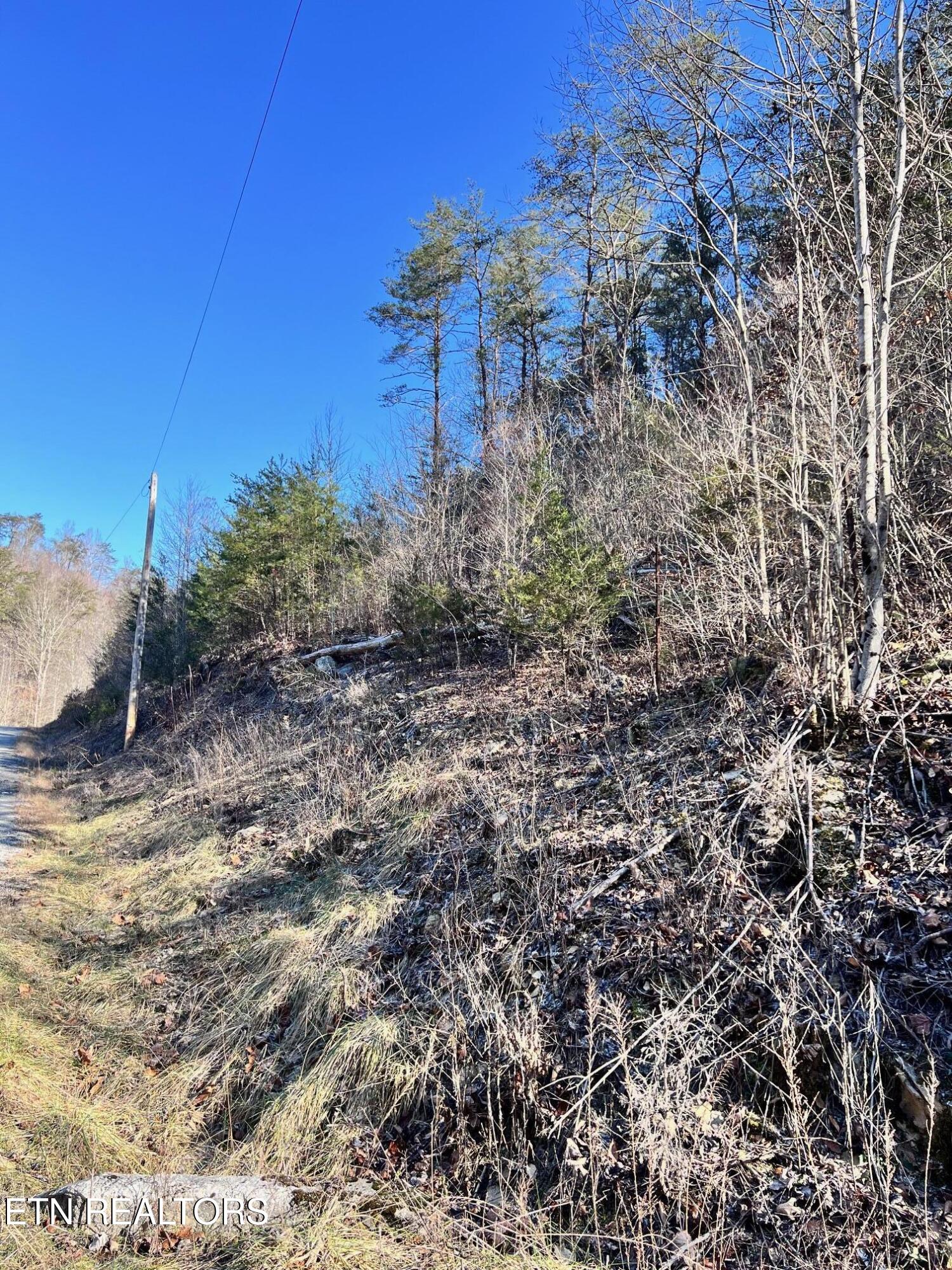 Tract 1 Bundren Mountain Rd Property Photo 4