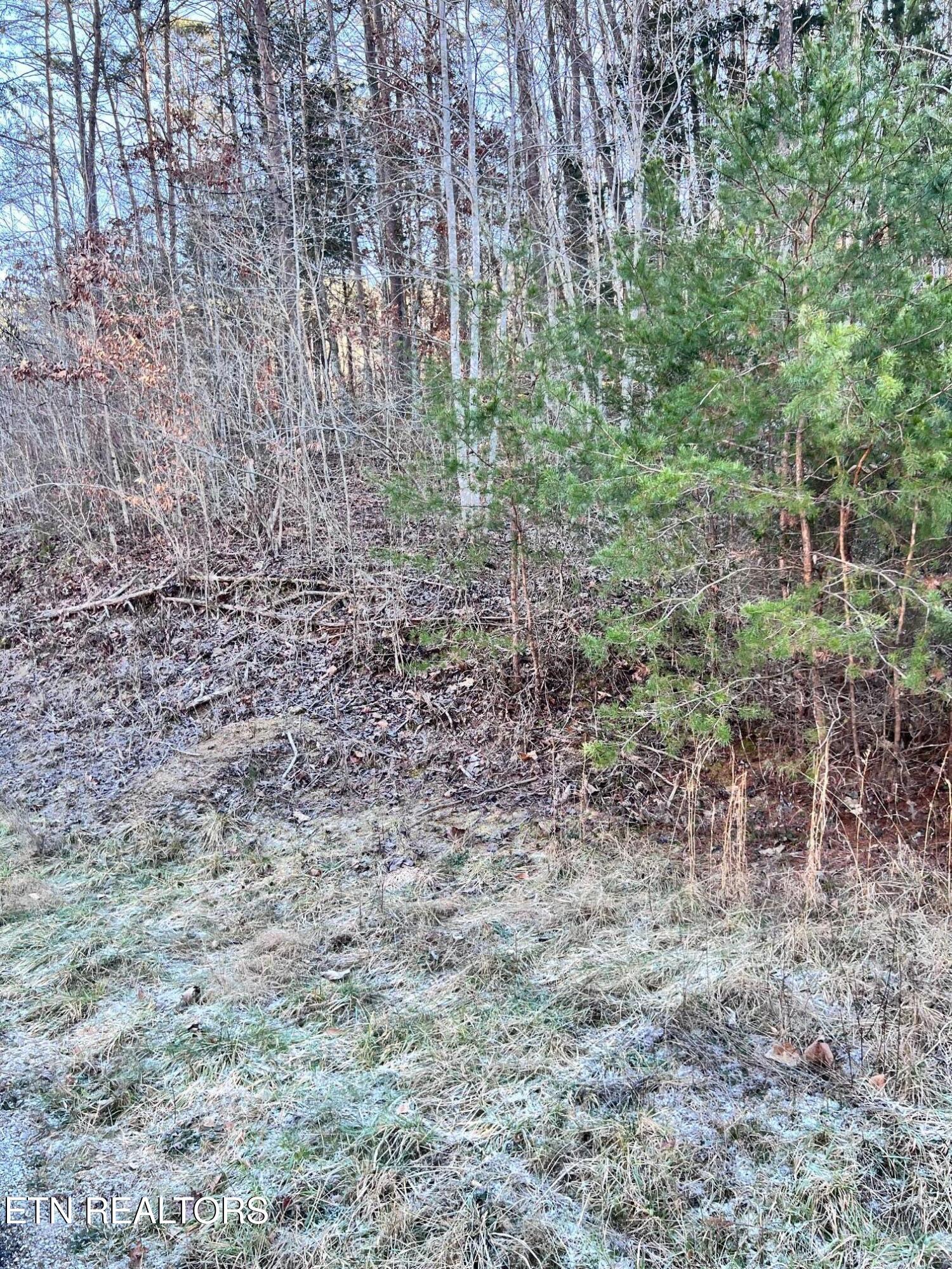 Tract 1 Bundren Mountain Rd Property Photo 5