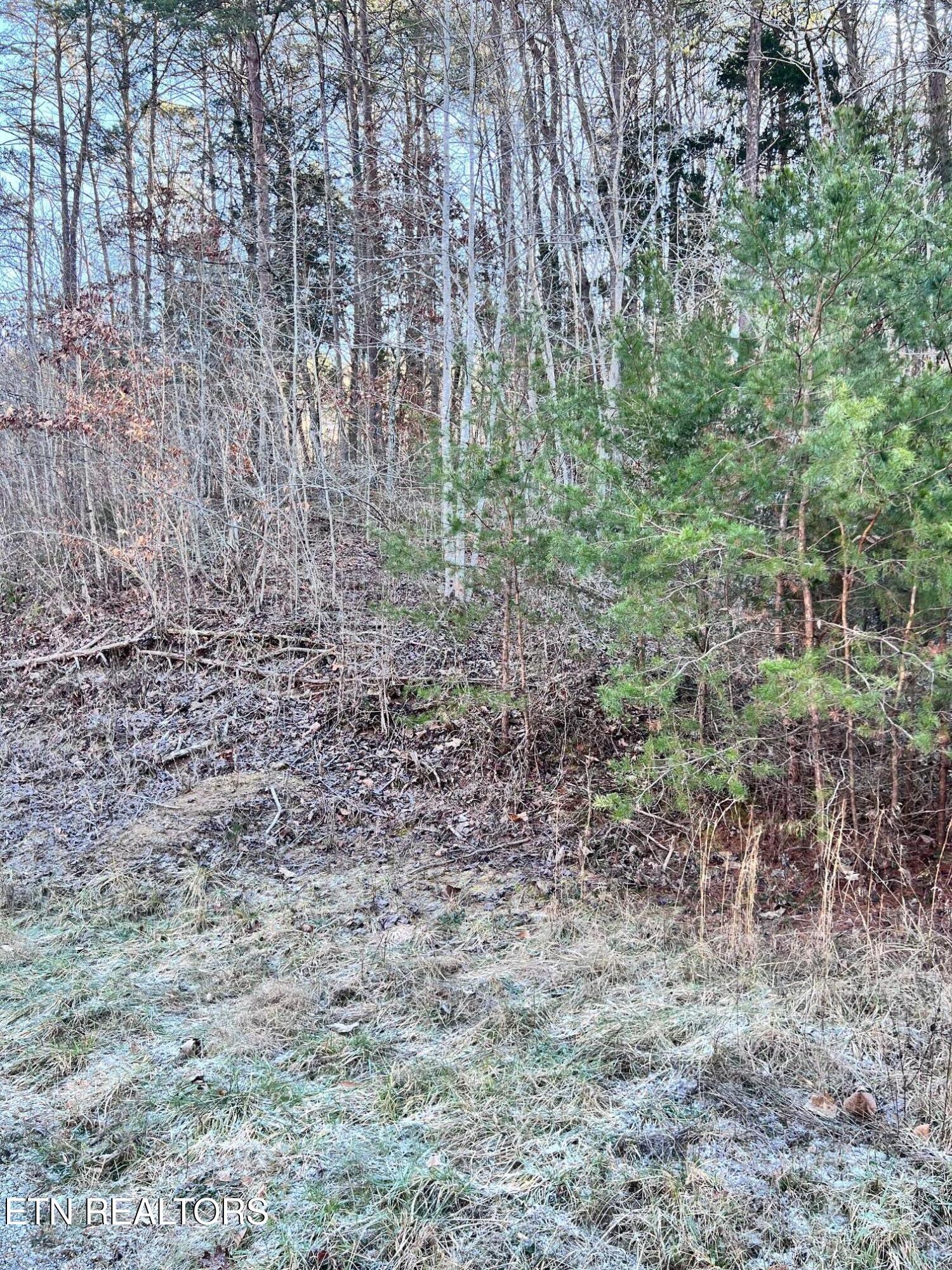 Tract 1 Bundren Mountain Rd Property Photo 6