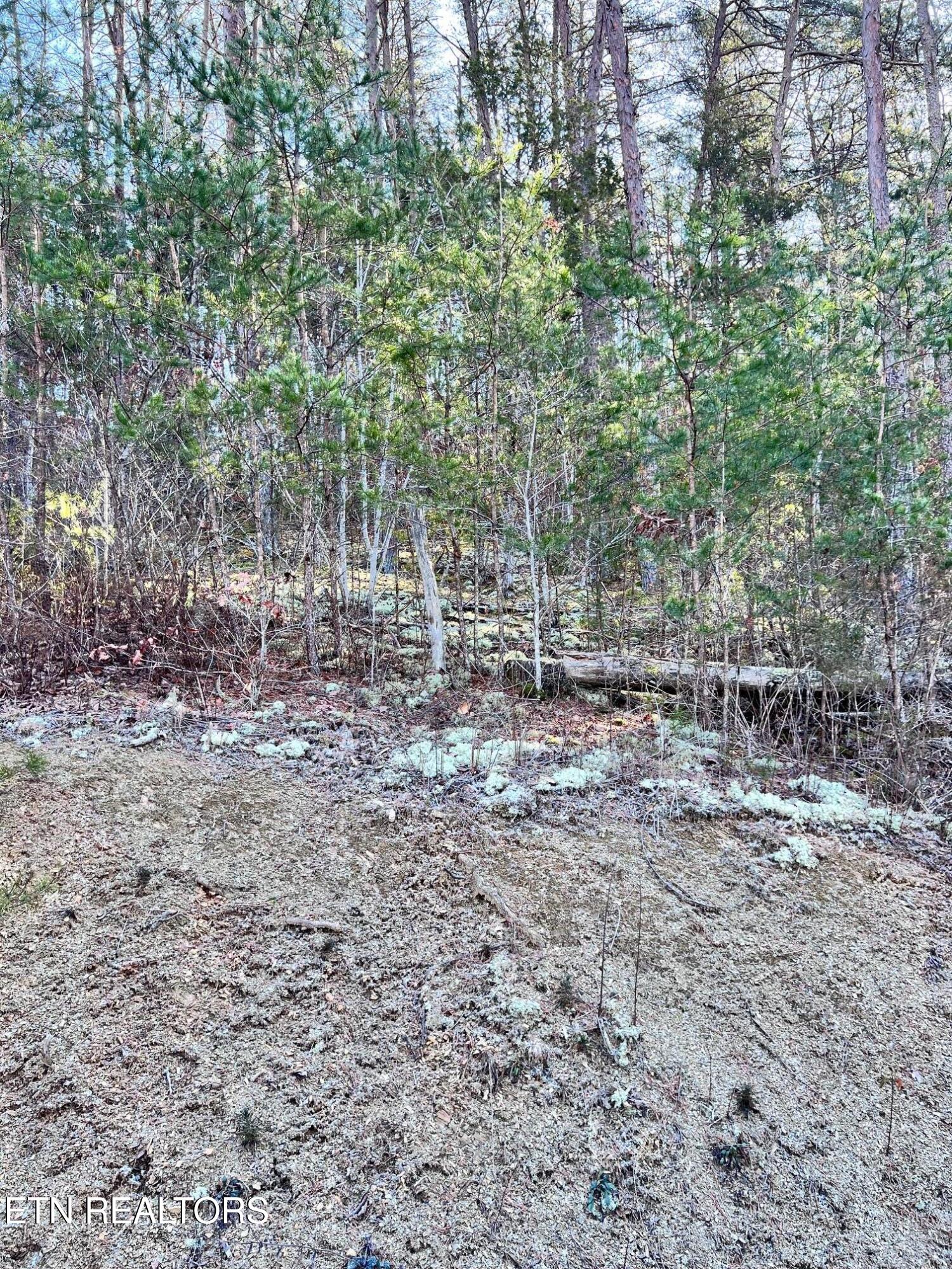 Tract 1 Bundren Mountain Rd Property Photo 7