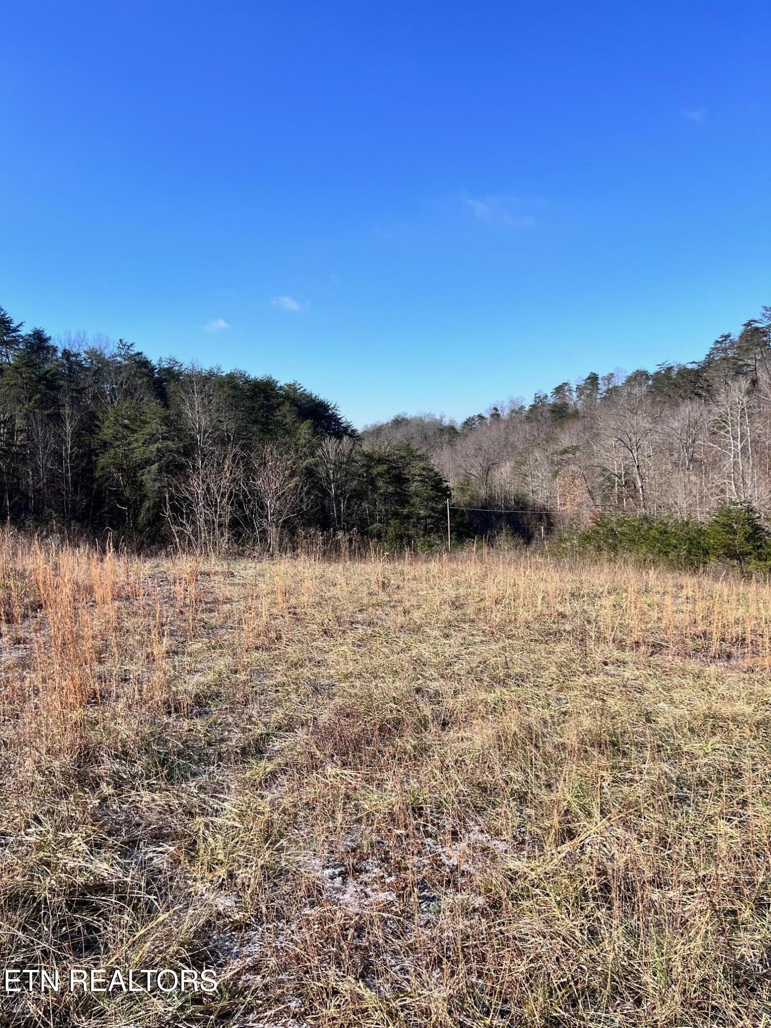 Tract 2 Bundren Mountain Rd Property Photo 4