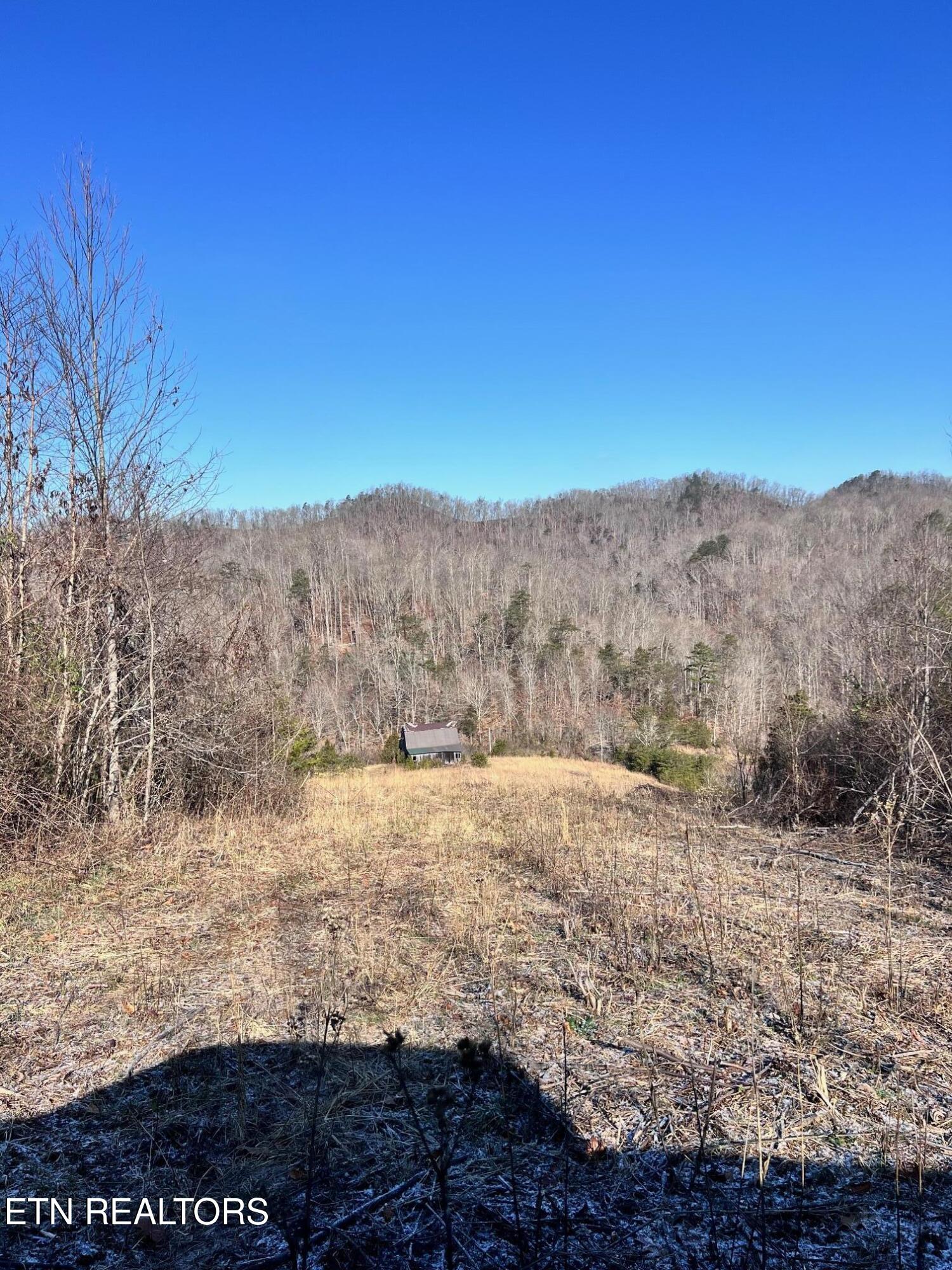 Tract 2 Bundren Mountain Rd Property Photo 5