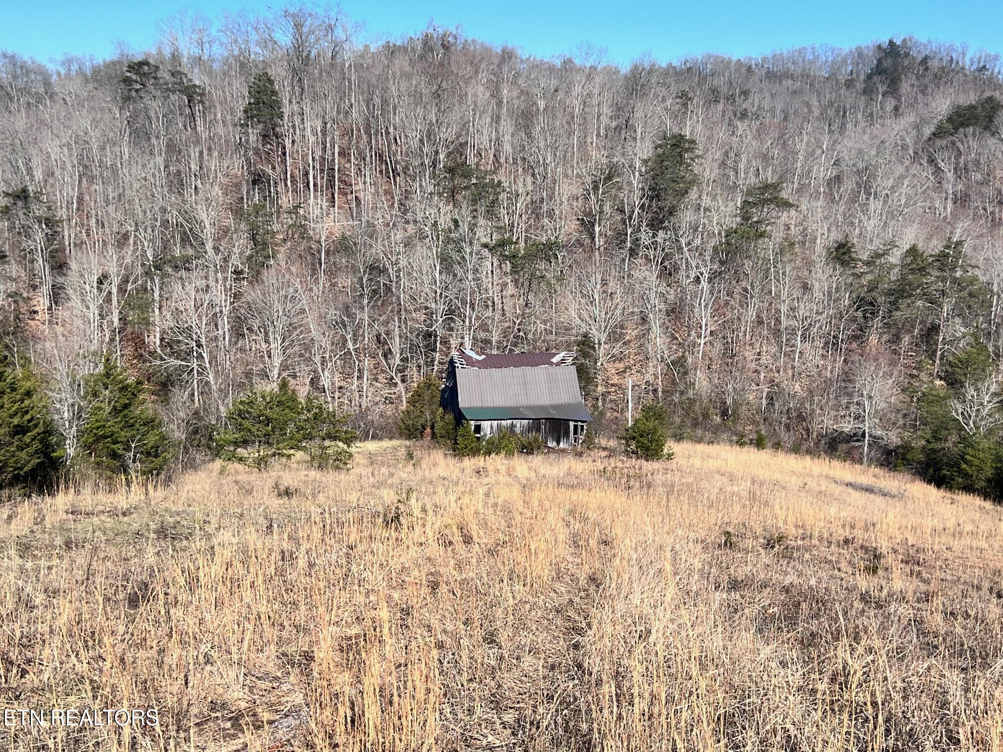 Tract 2 Bundren Mountain Rd Property Photo 9