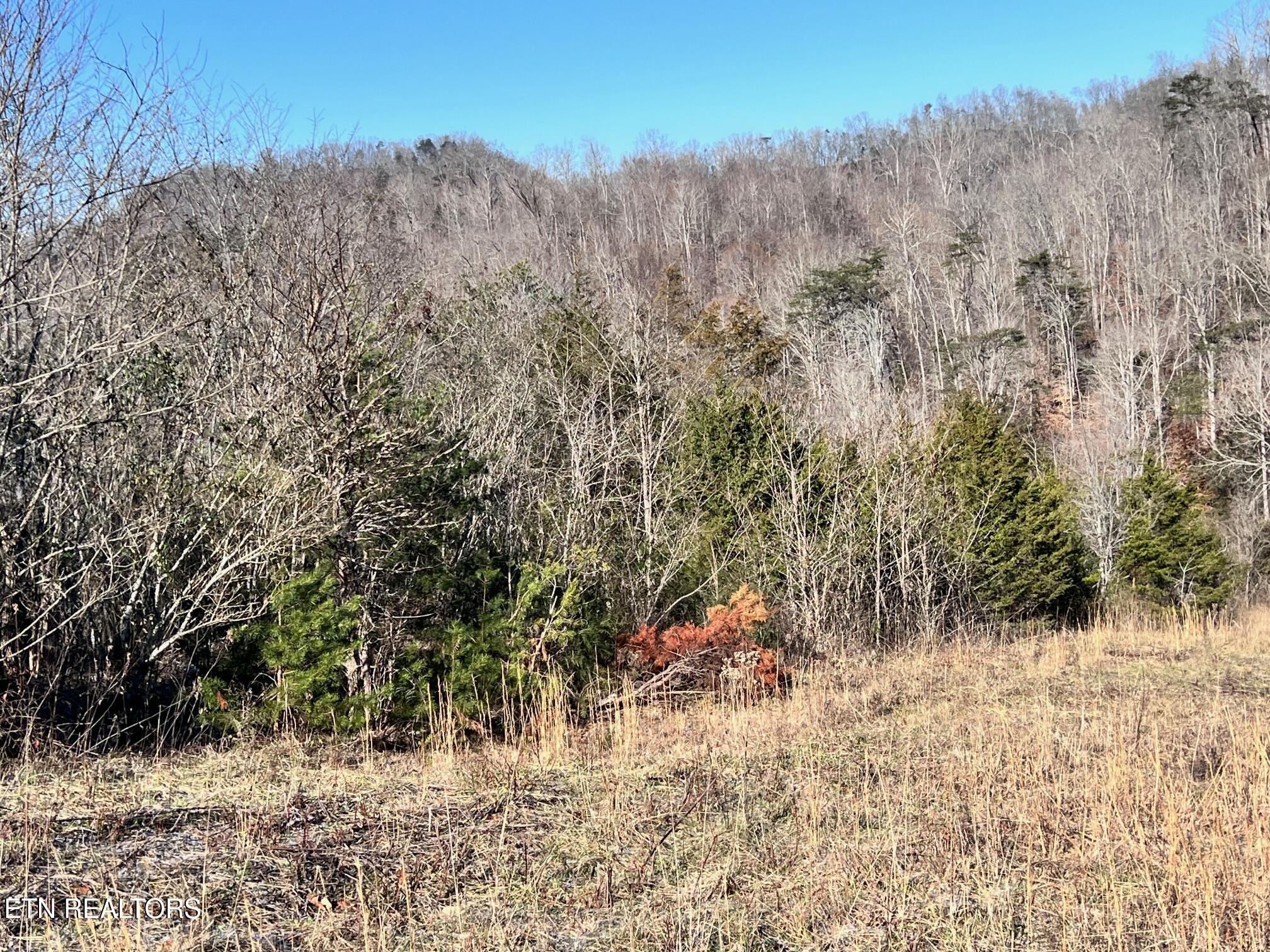 Tract 2 Bundren Mountain Rd Property Photo 10
