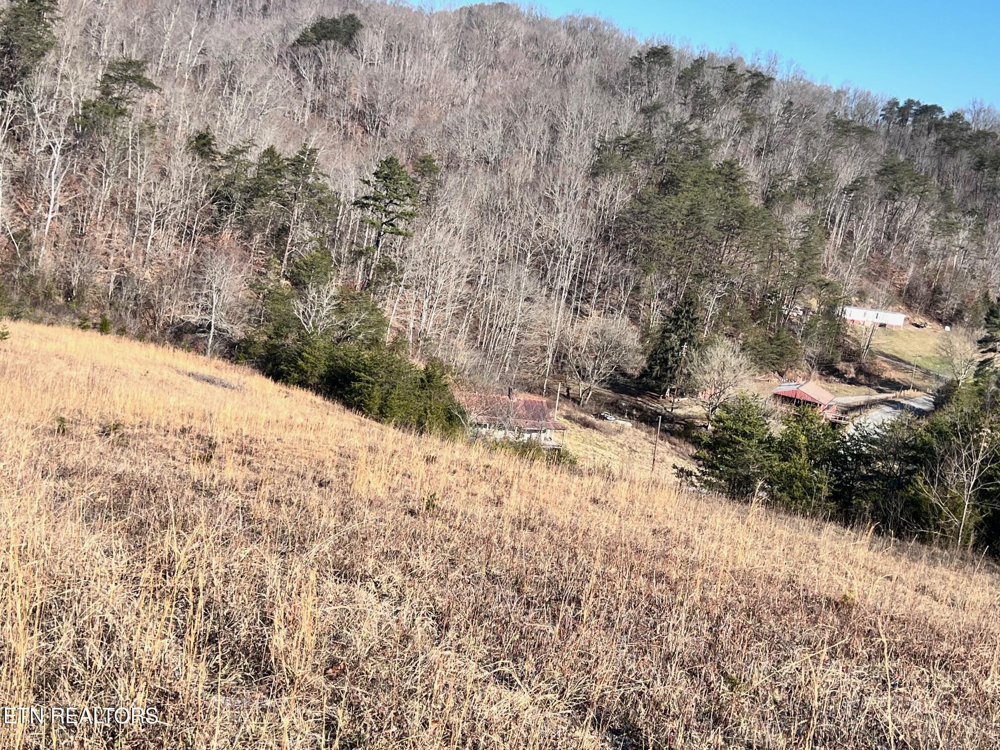 Tract 2 Bundren Mountain Rd Property Photo 11