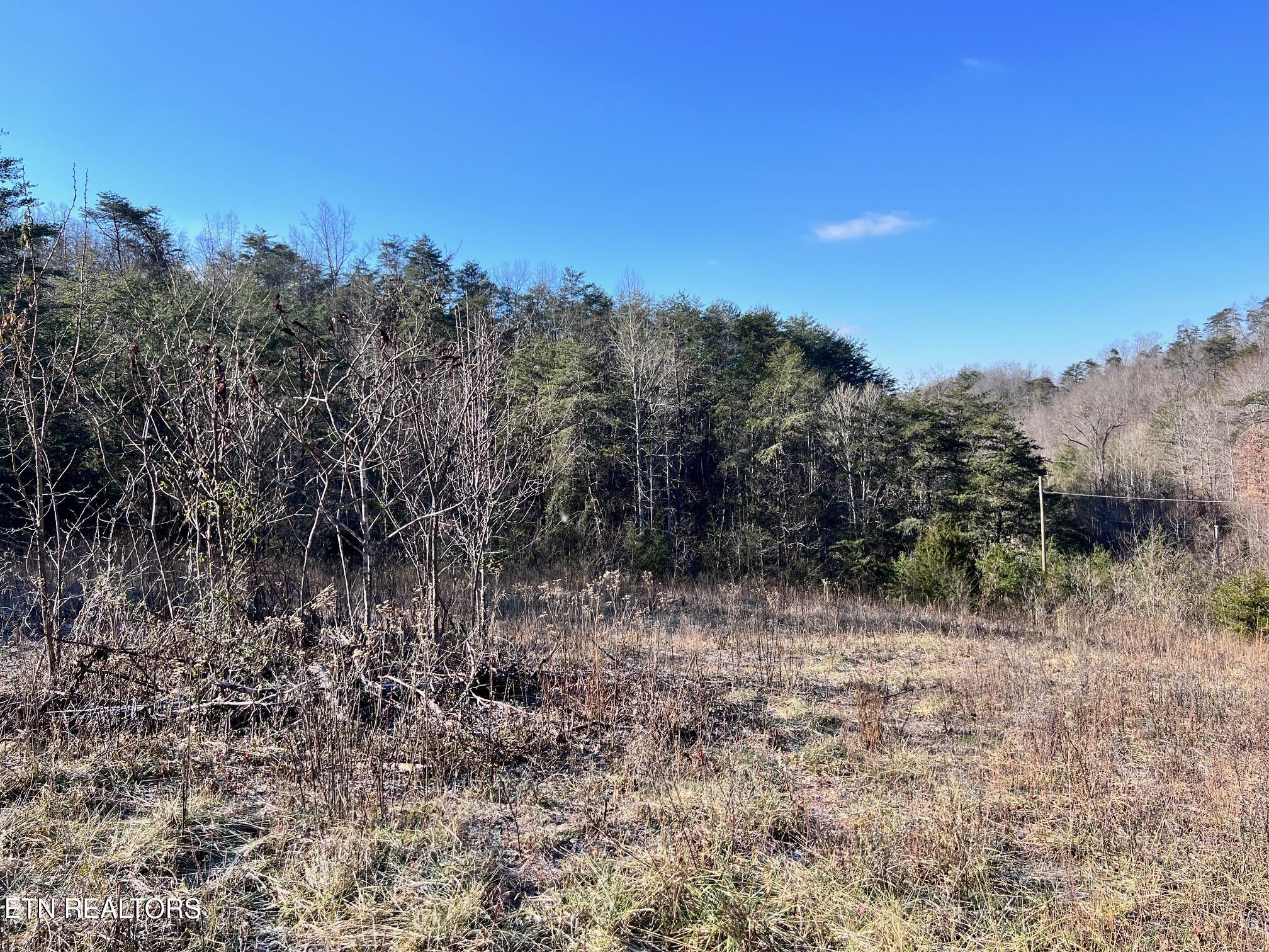 Tract 2 Bundren Mountain Rd Property Photo 12