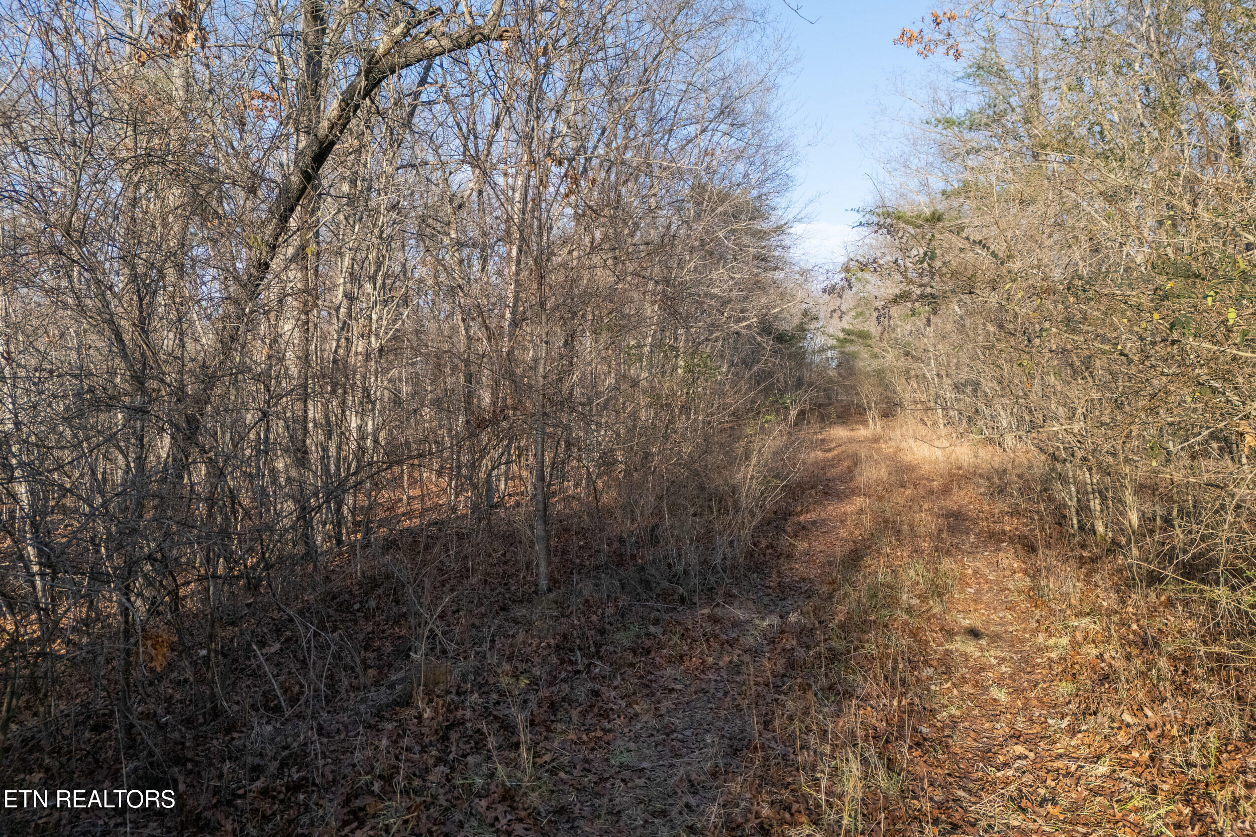 Lot 1735 Satsuma Drive Property Photo 1