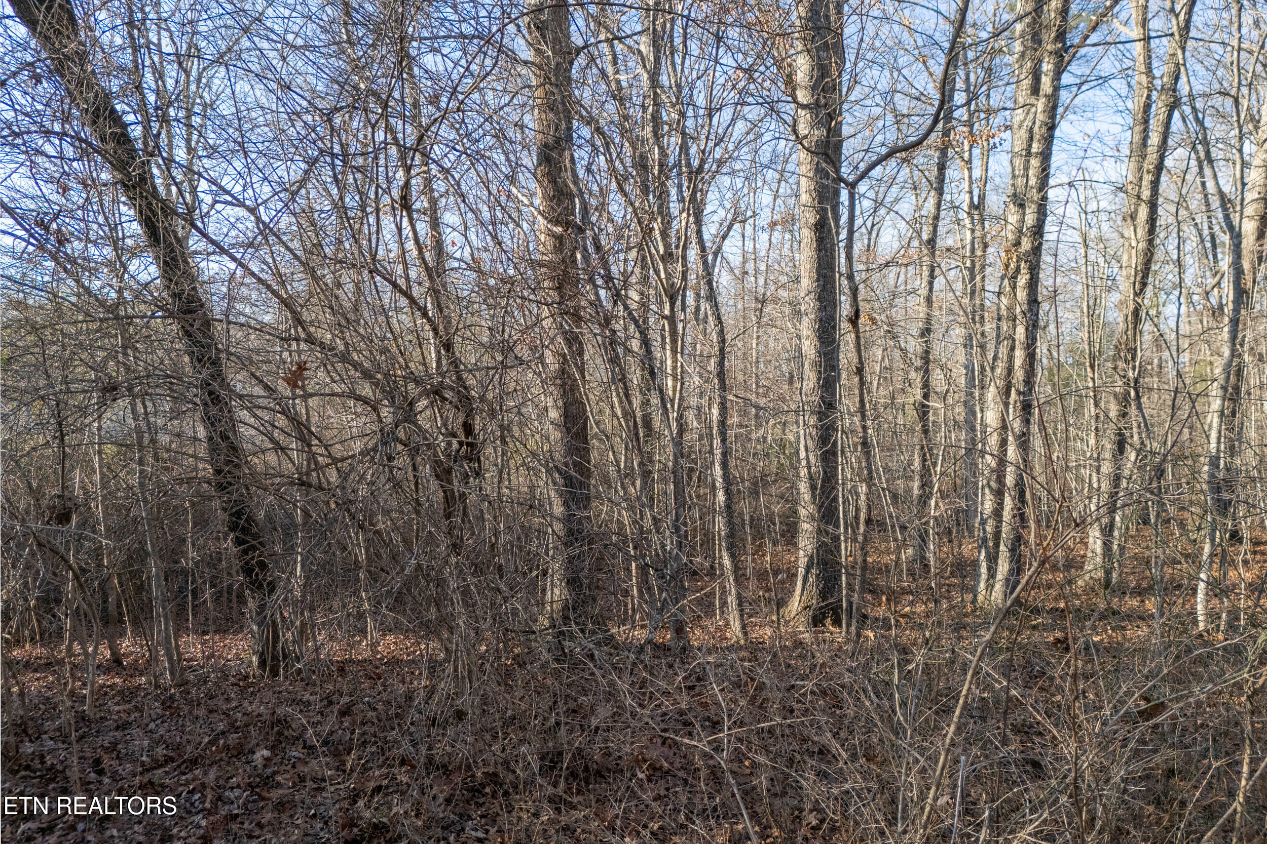 Lot 1735 Satsuma Drive Property Photo 2