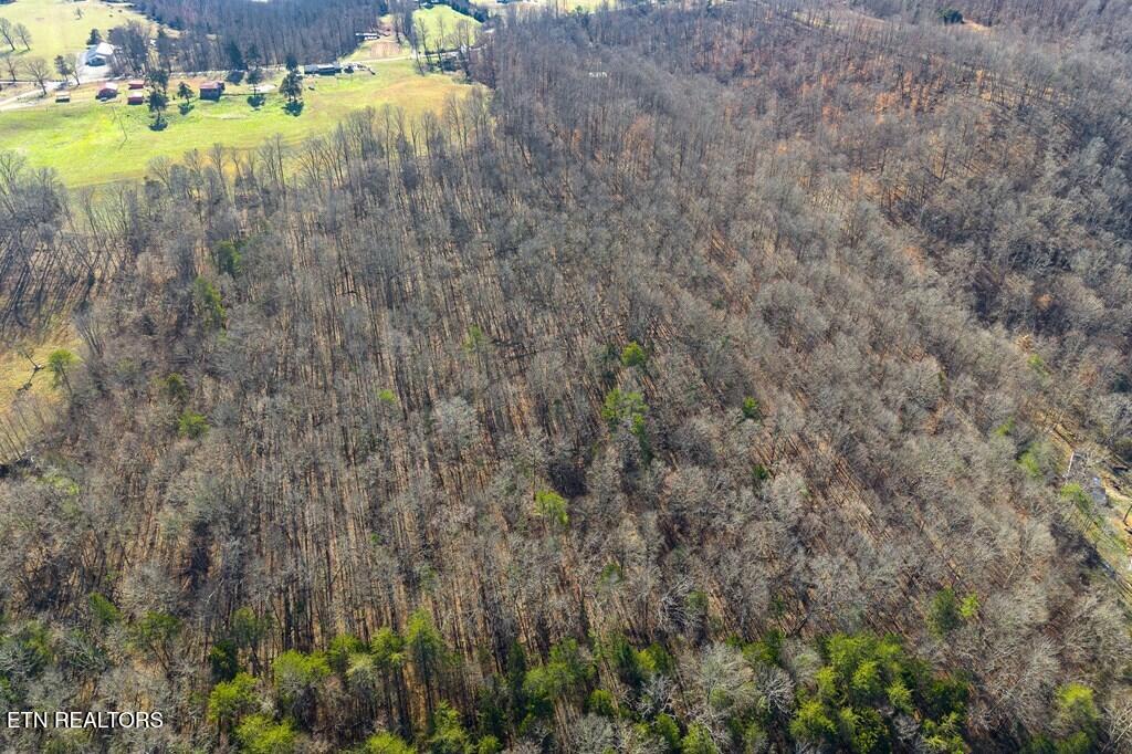 Hensley Chapel Rd Property Photo 10