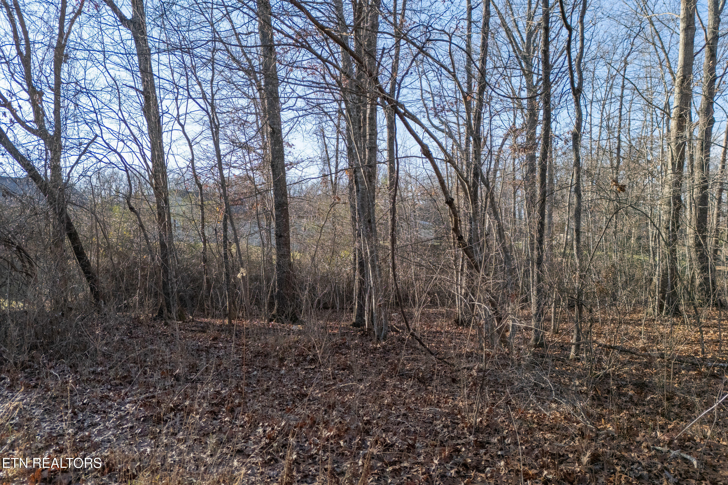Lot 1736 Satsuma Drive Property Photo 1