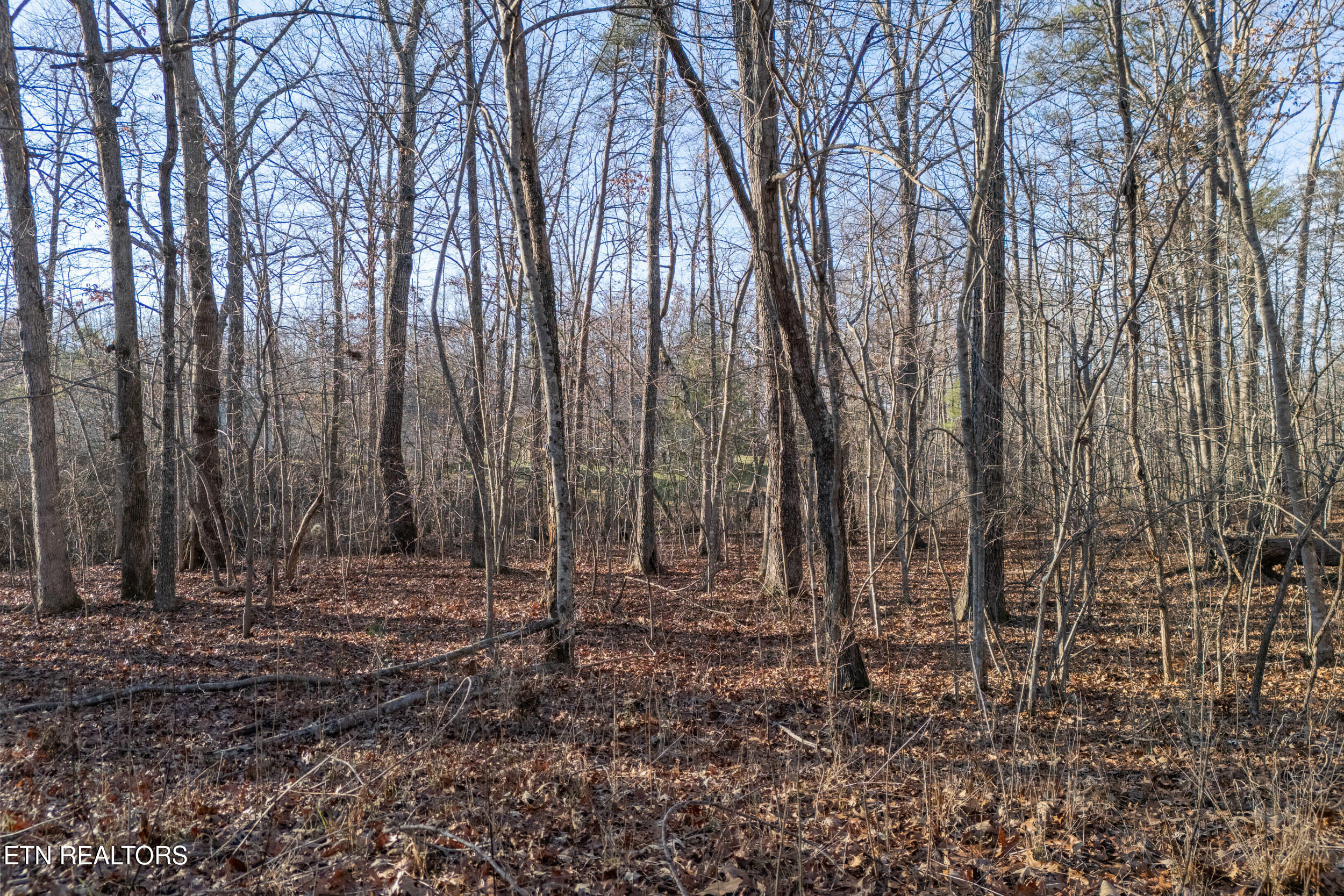 Lot 1736 Satsuma Drive Property Photo 2