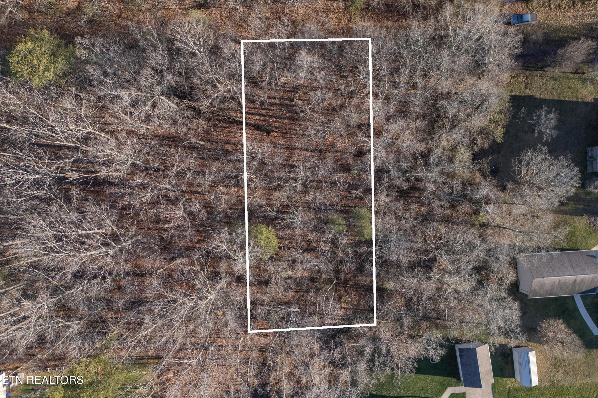 Lot 1736 Satsuma Drive Property Photo 4