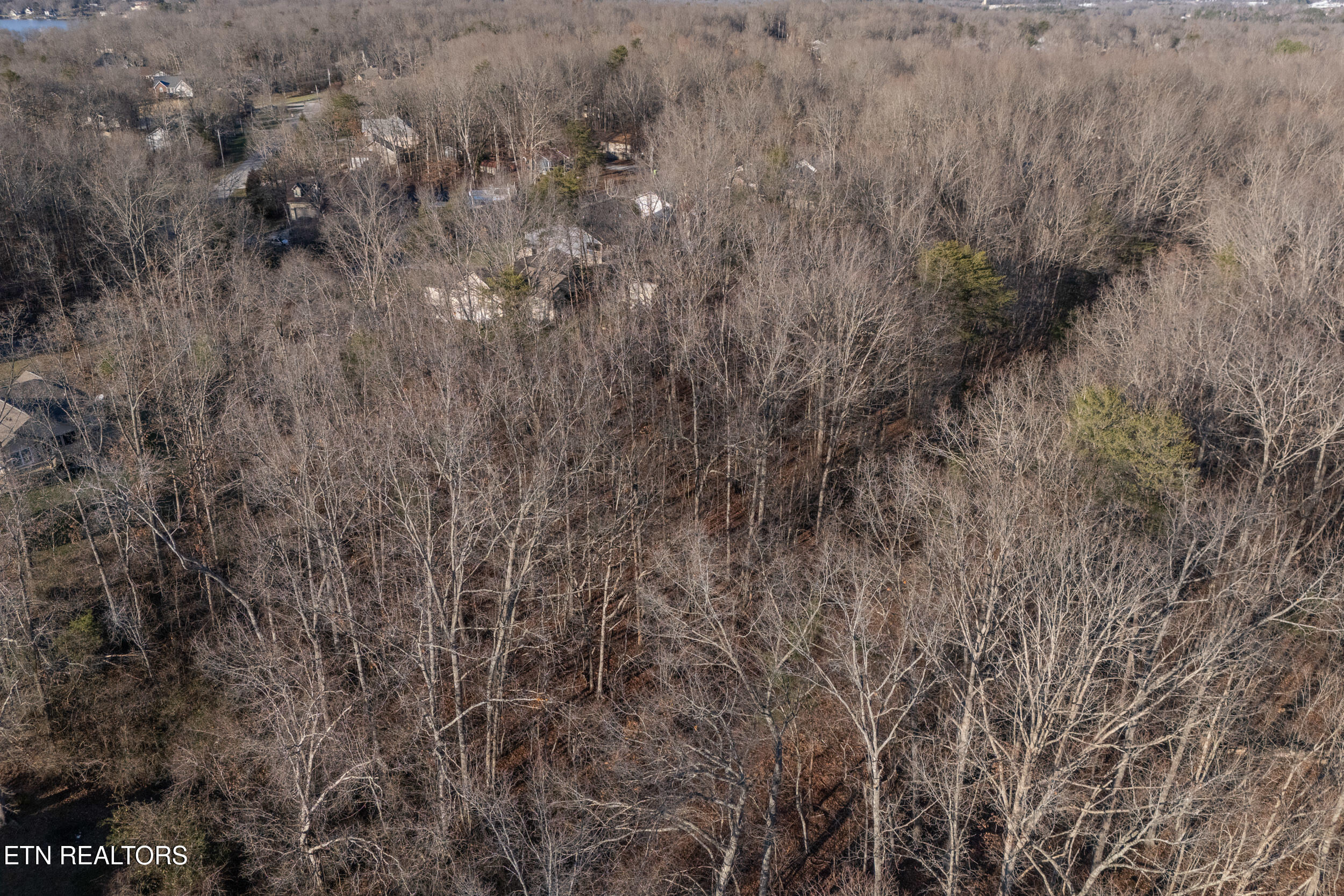 Lot 1736 Satsuma Drive Property Photo 7