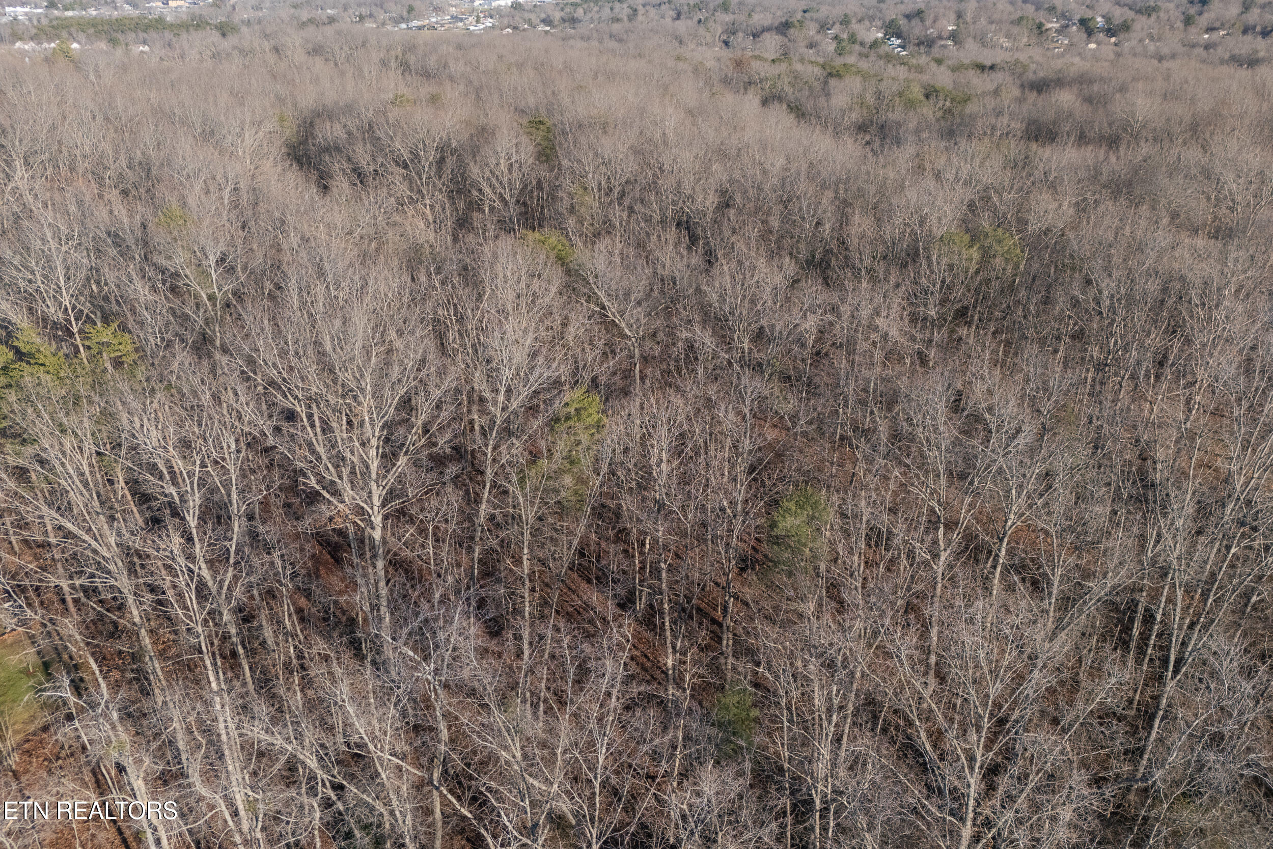 Lot 1736 Satsuma Drive Property Photo 8
