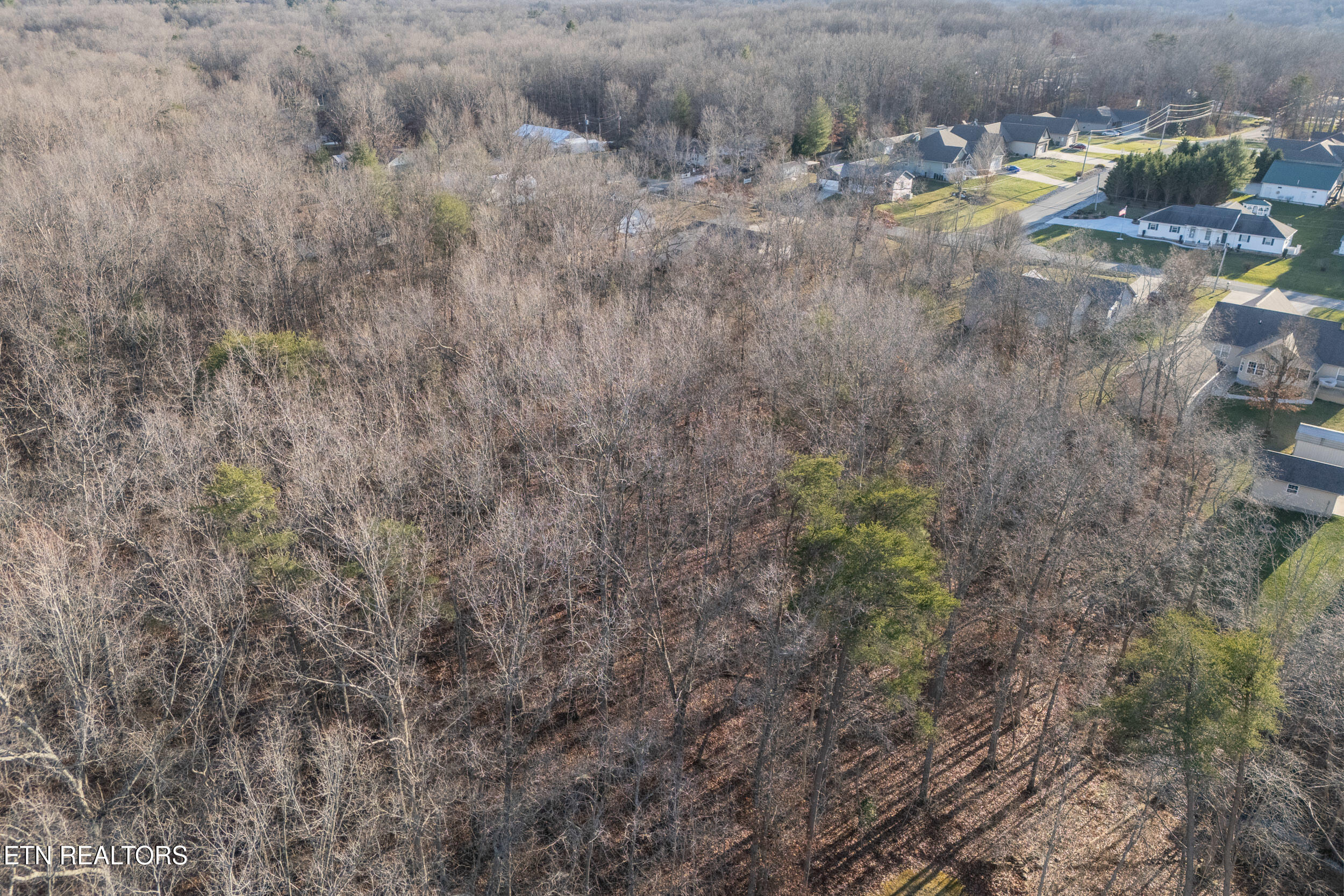Lot 1736 Satsuma Drive Property Photo 10