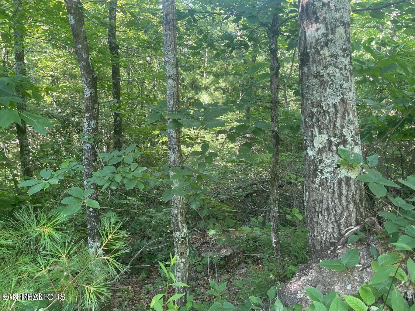 Lot 71 Hazelnut Lane Property Photo 1