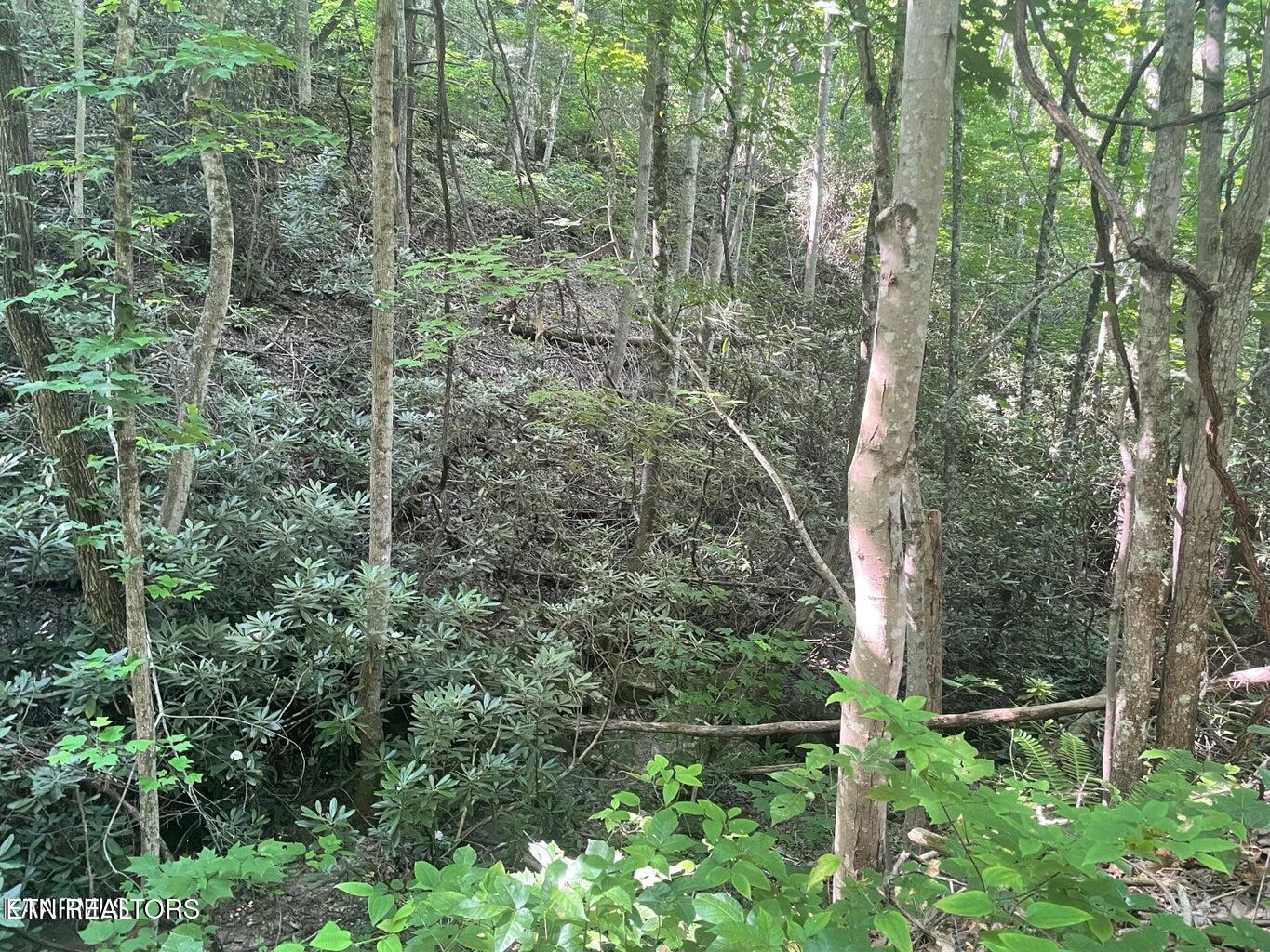 Lot 71 Hazelnut Lane Property Photo 3