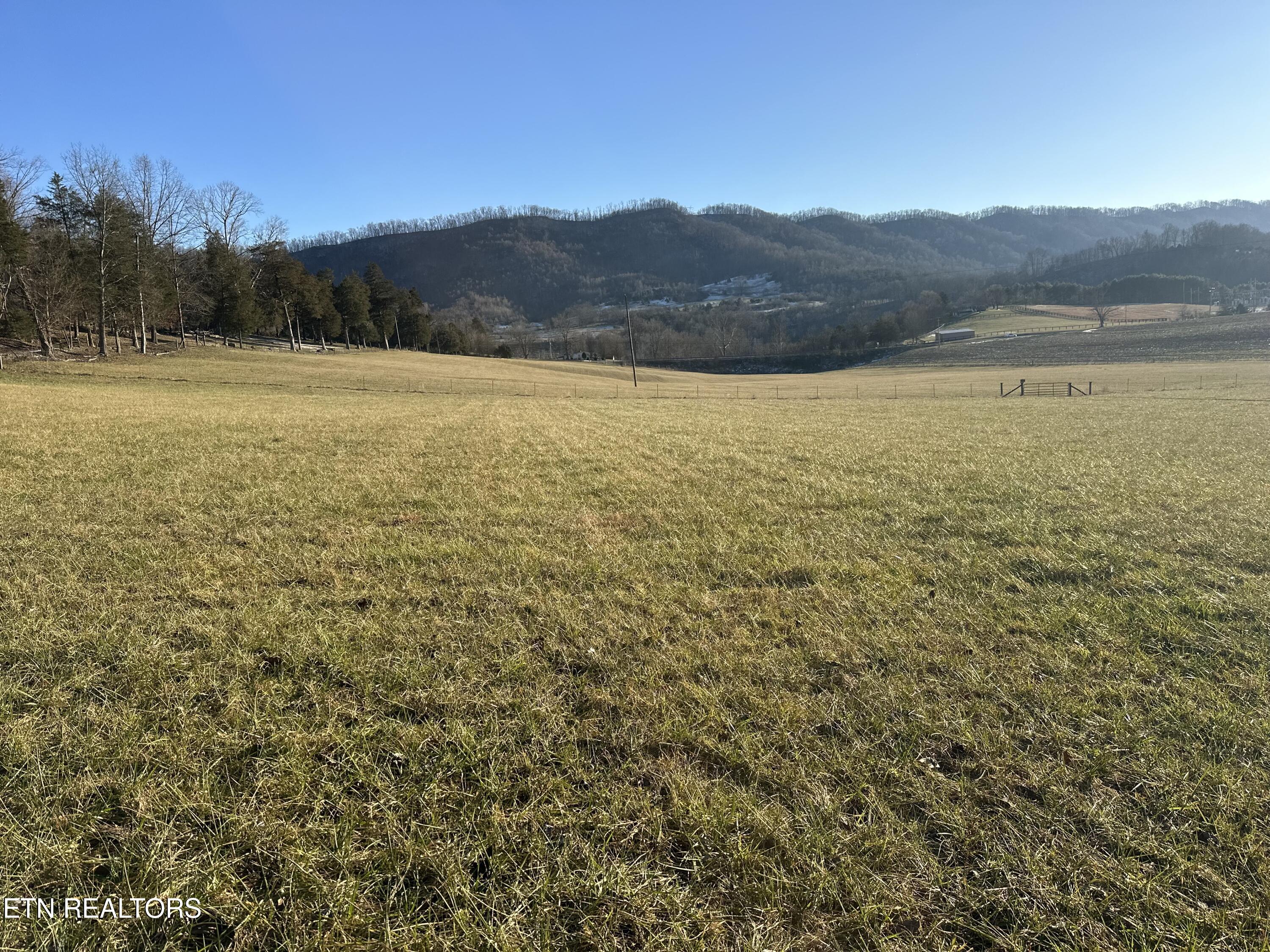 Tbd Wilderness Rd Property Photo 1