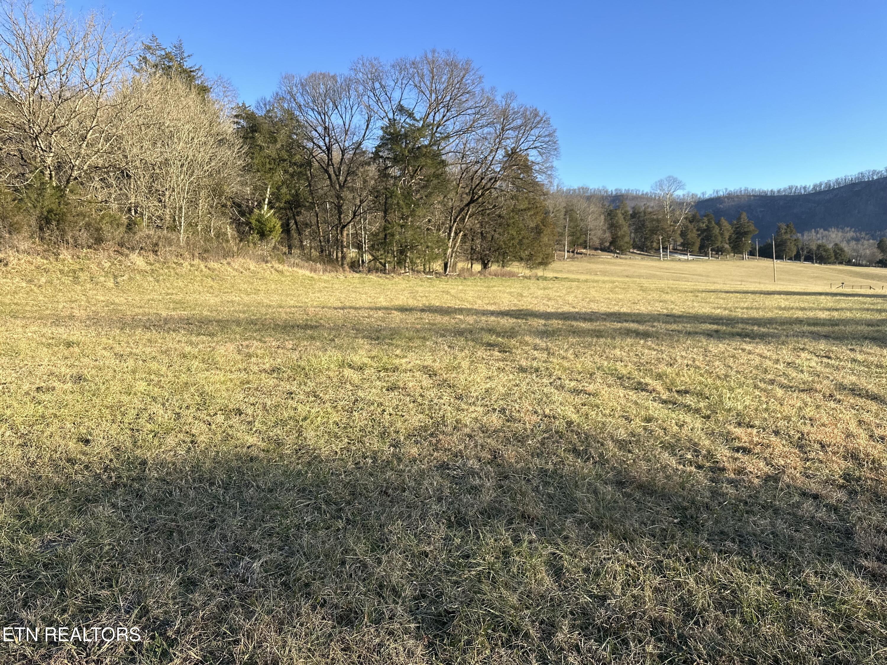Tbd Wilderness Rd Property Photo 4