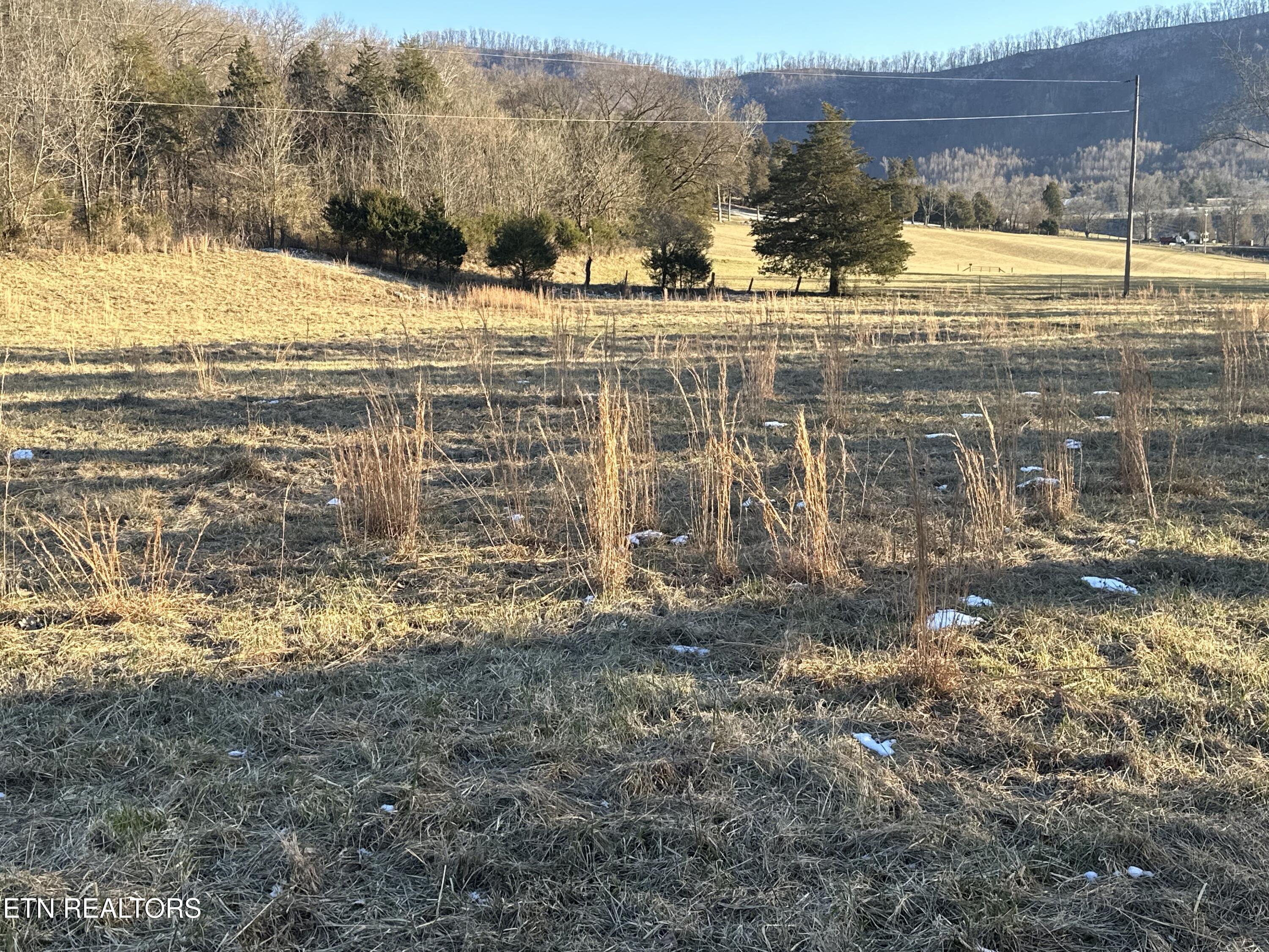 Tbd Wilderness Rd Property Photo 7