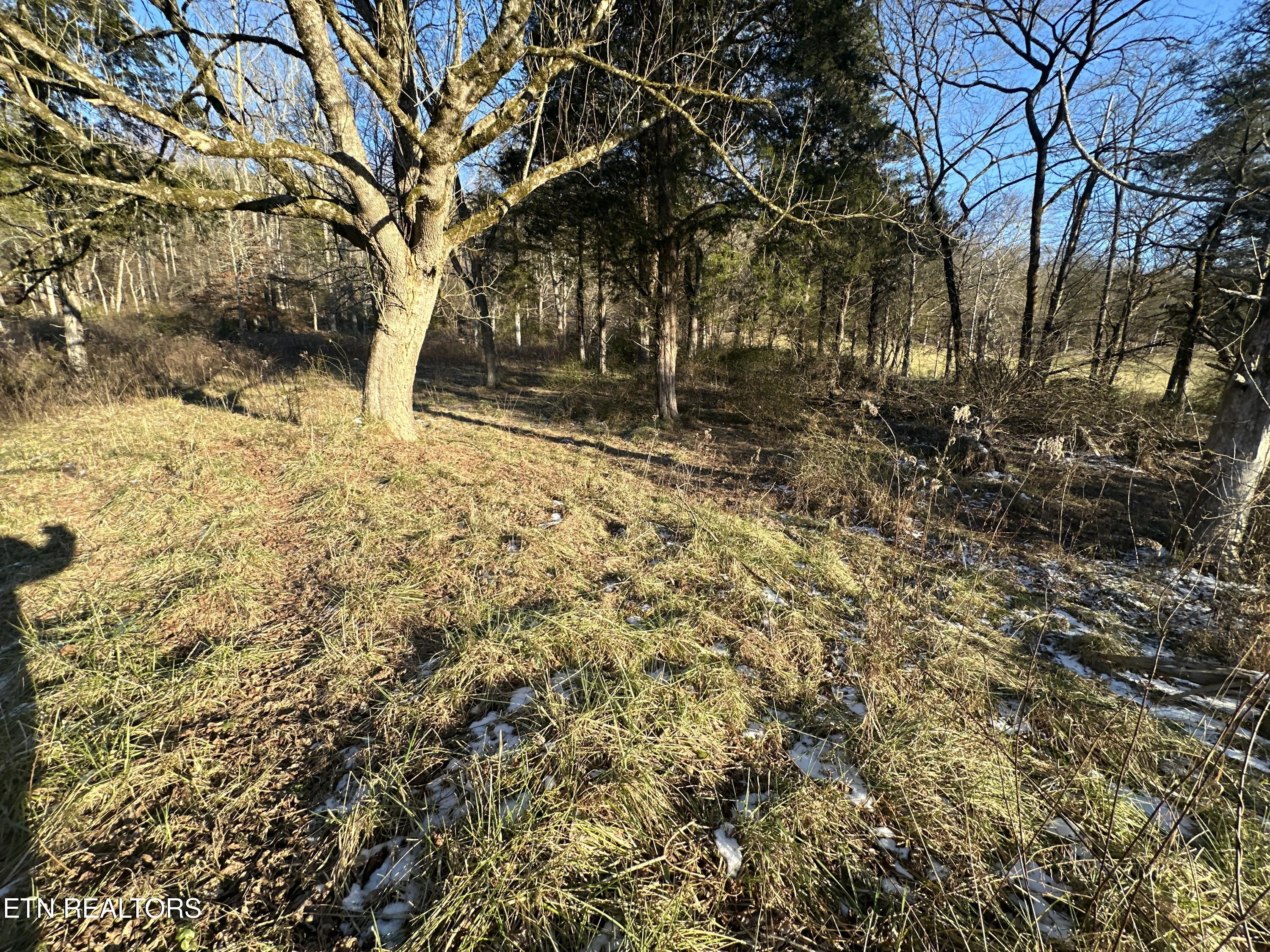 Tbd Wilderness Rd Property Photo 8