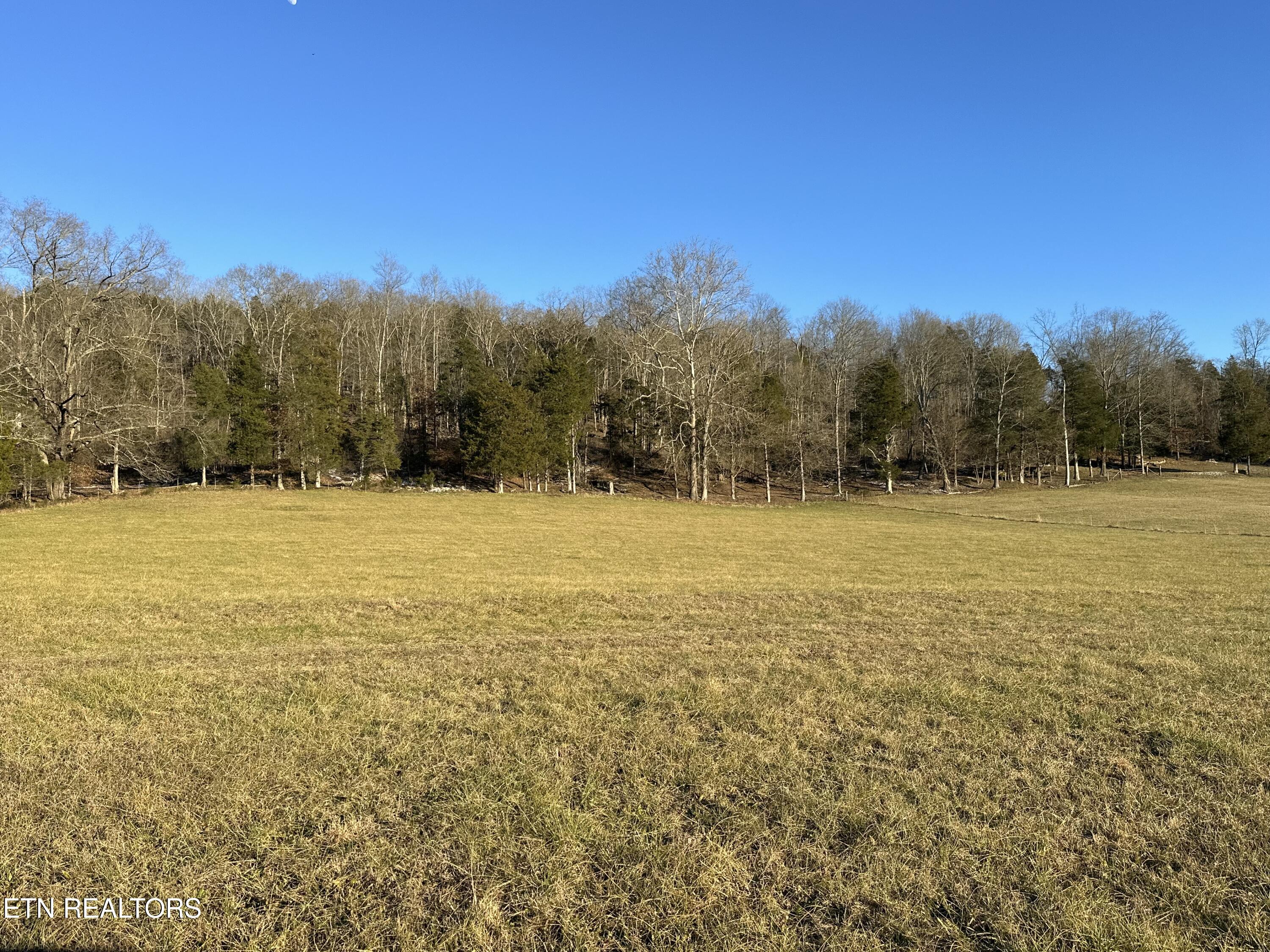 Tbd Wilderness Rd Property Photo 10